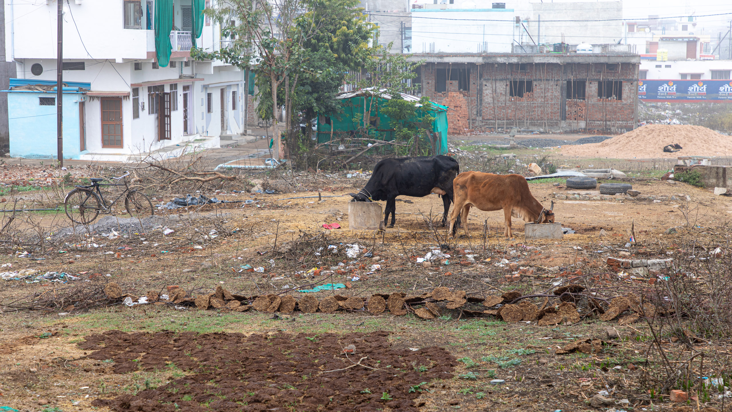 20240108103134 RD4 9417