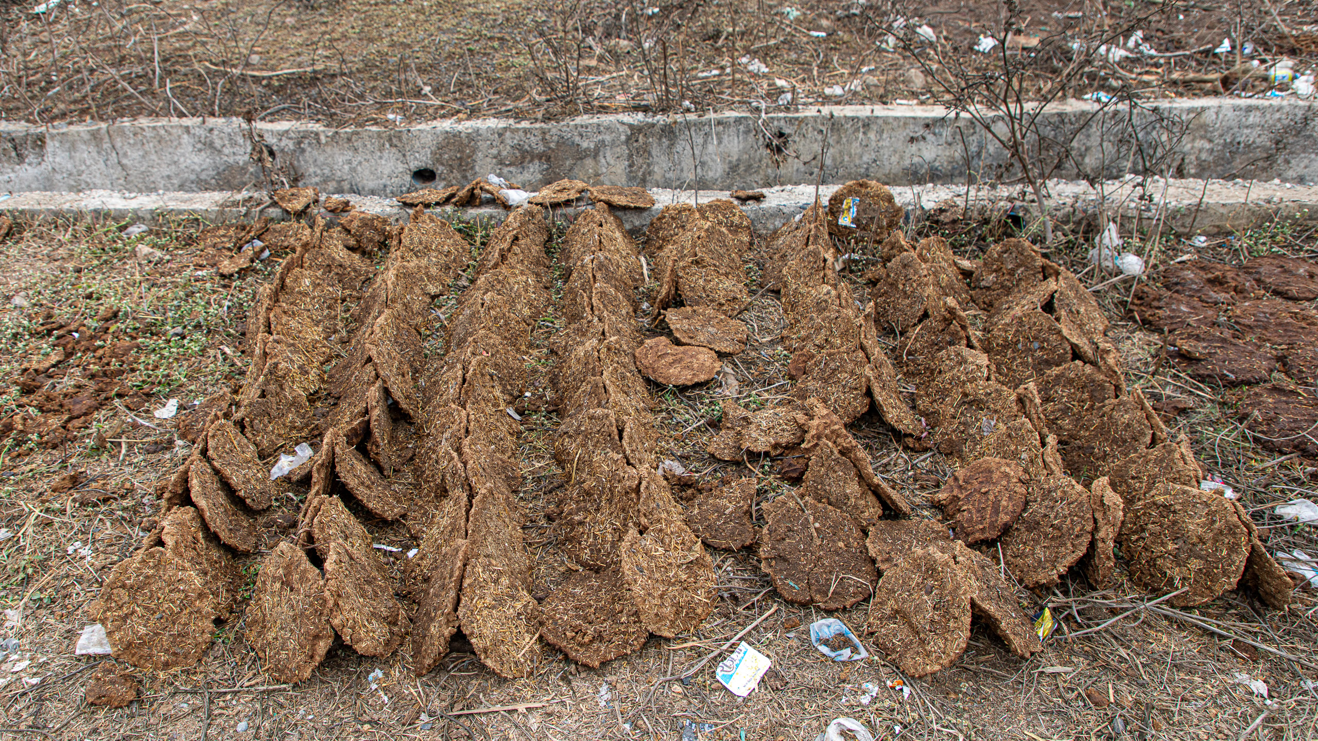 20240108103153 RD4 9420