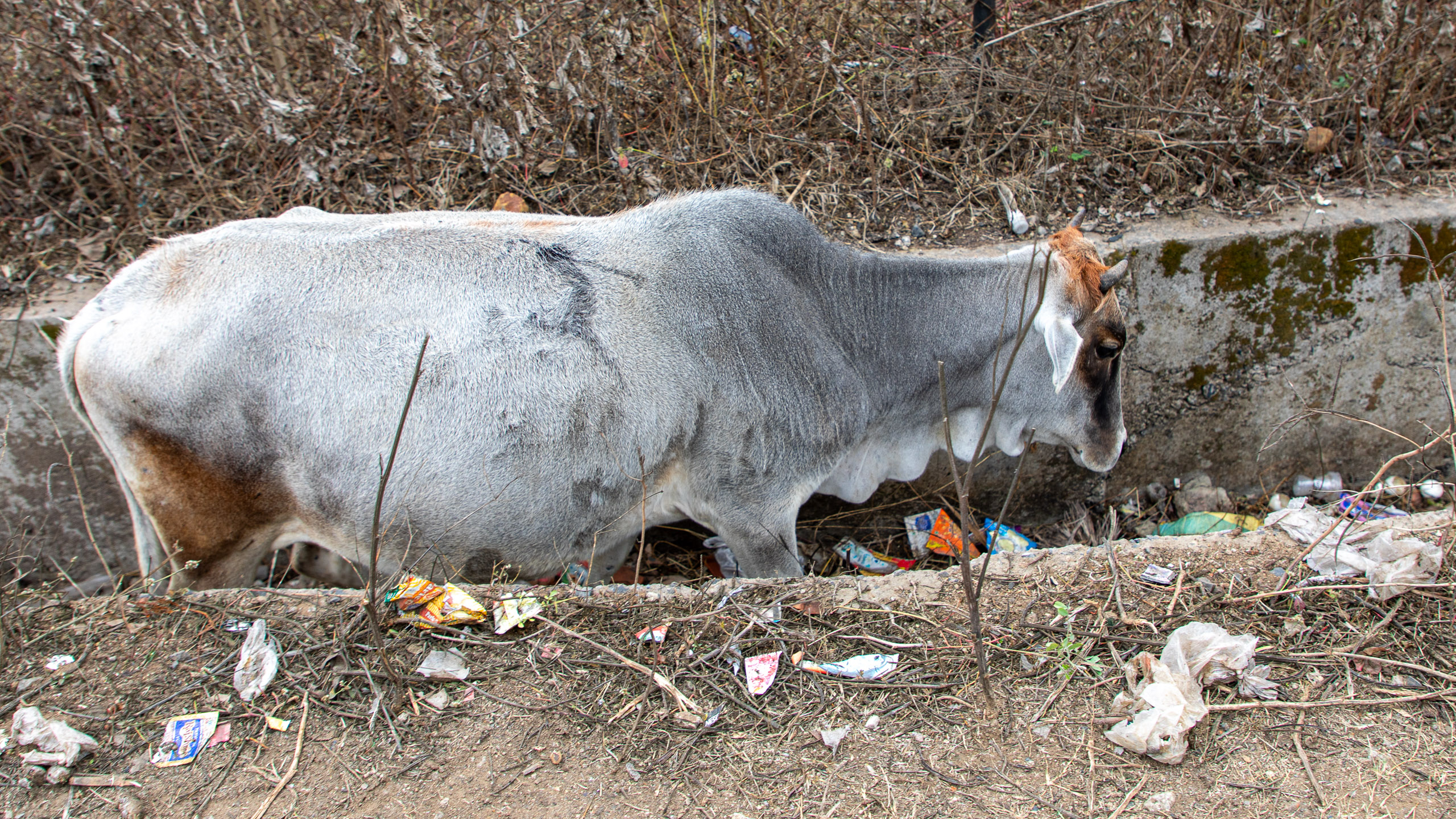 20240108103412 RD4 9423