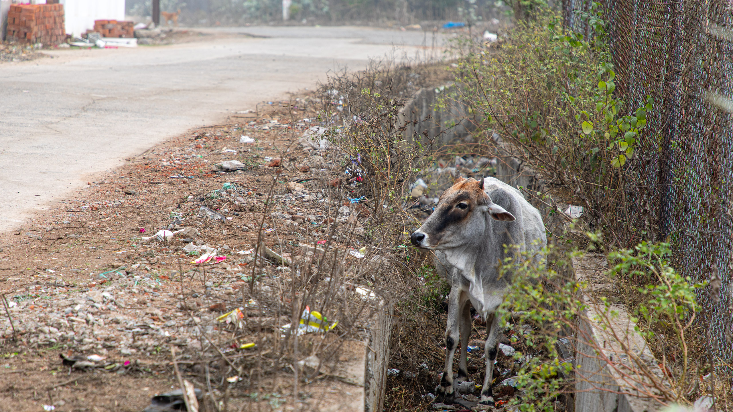 20240108103450 RD4 9428