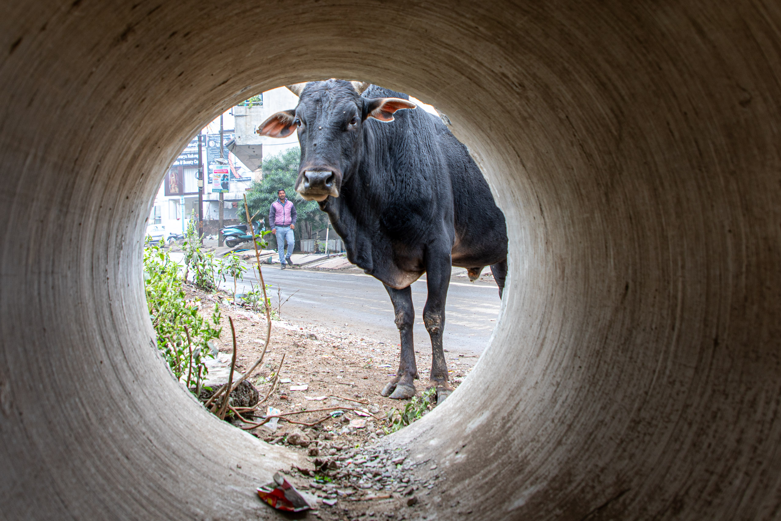 20240108103905 RD4 9434