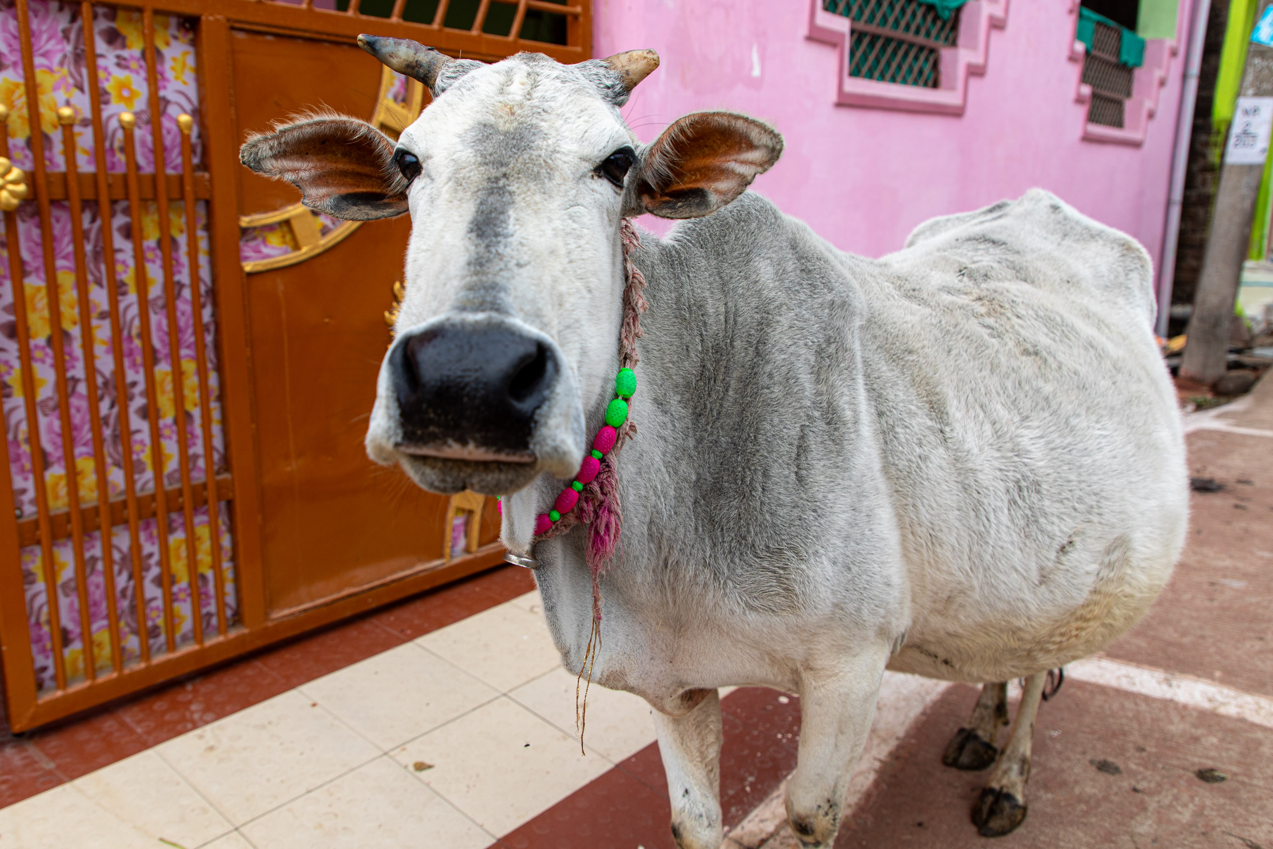 20240108104955 RD4 9449