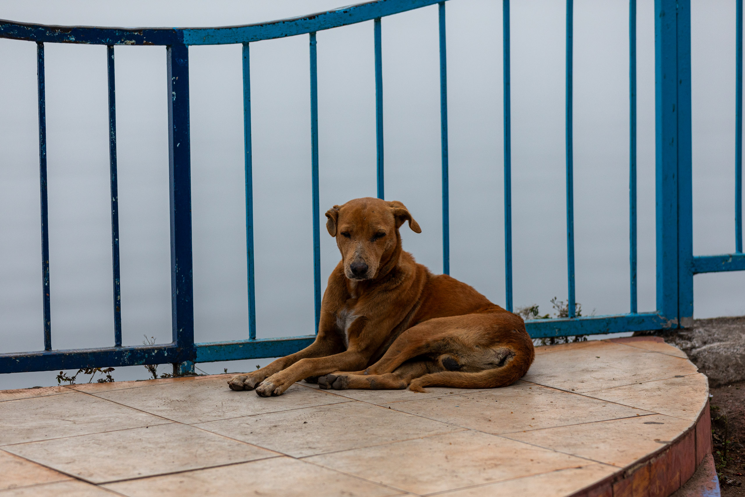 20240104093829 RD4 8884