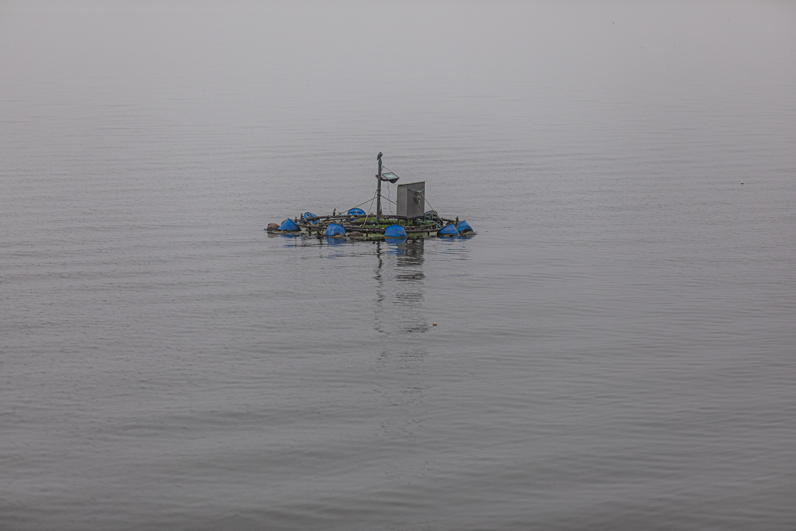 20240104093919 RD4 8885