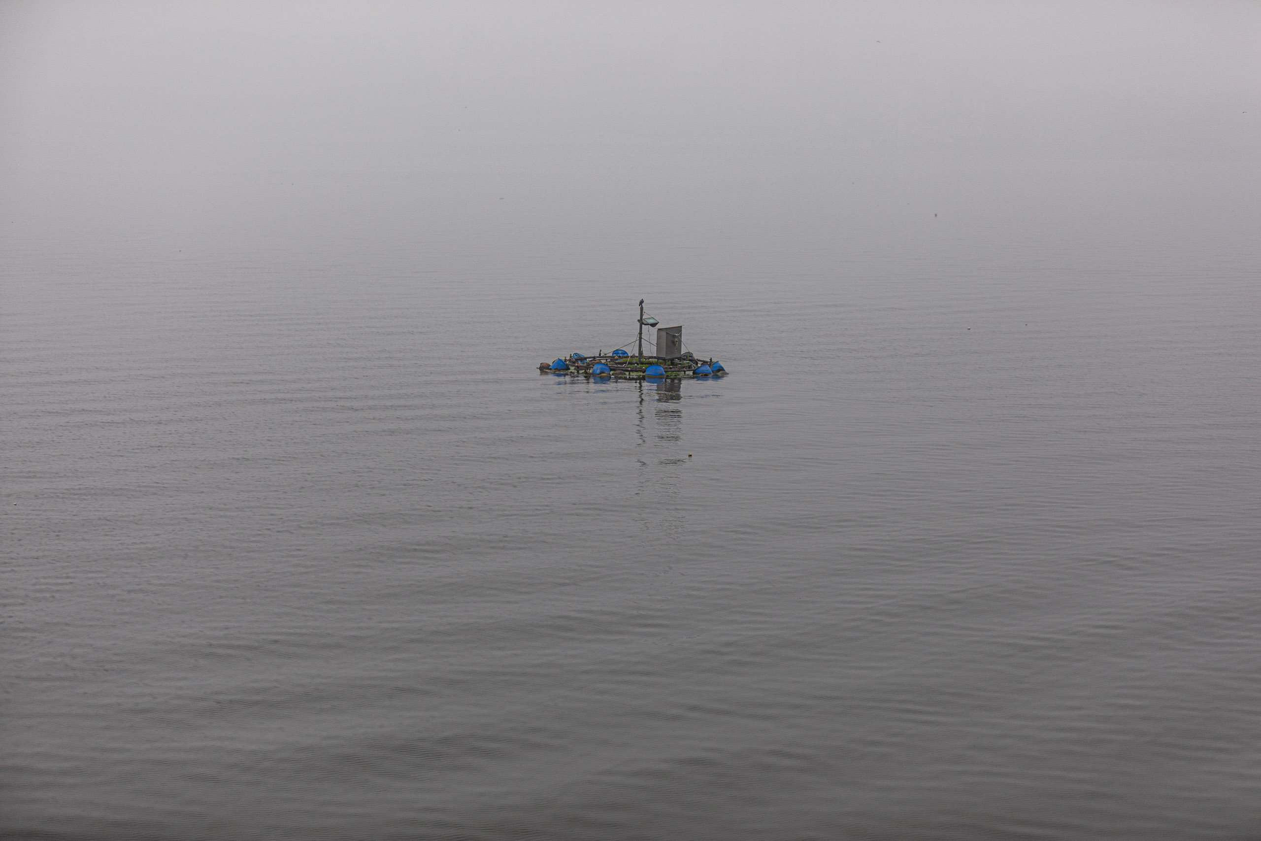 20240104093920 RD4 8886