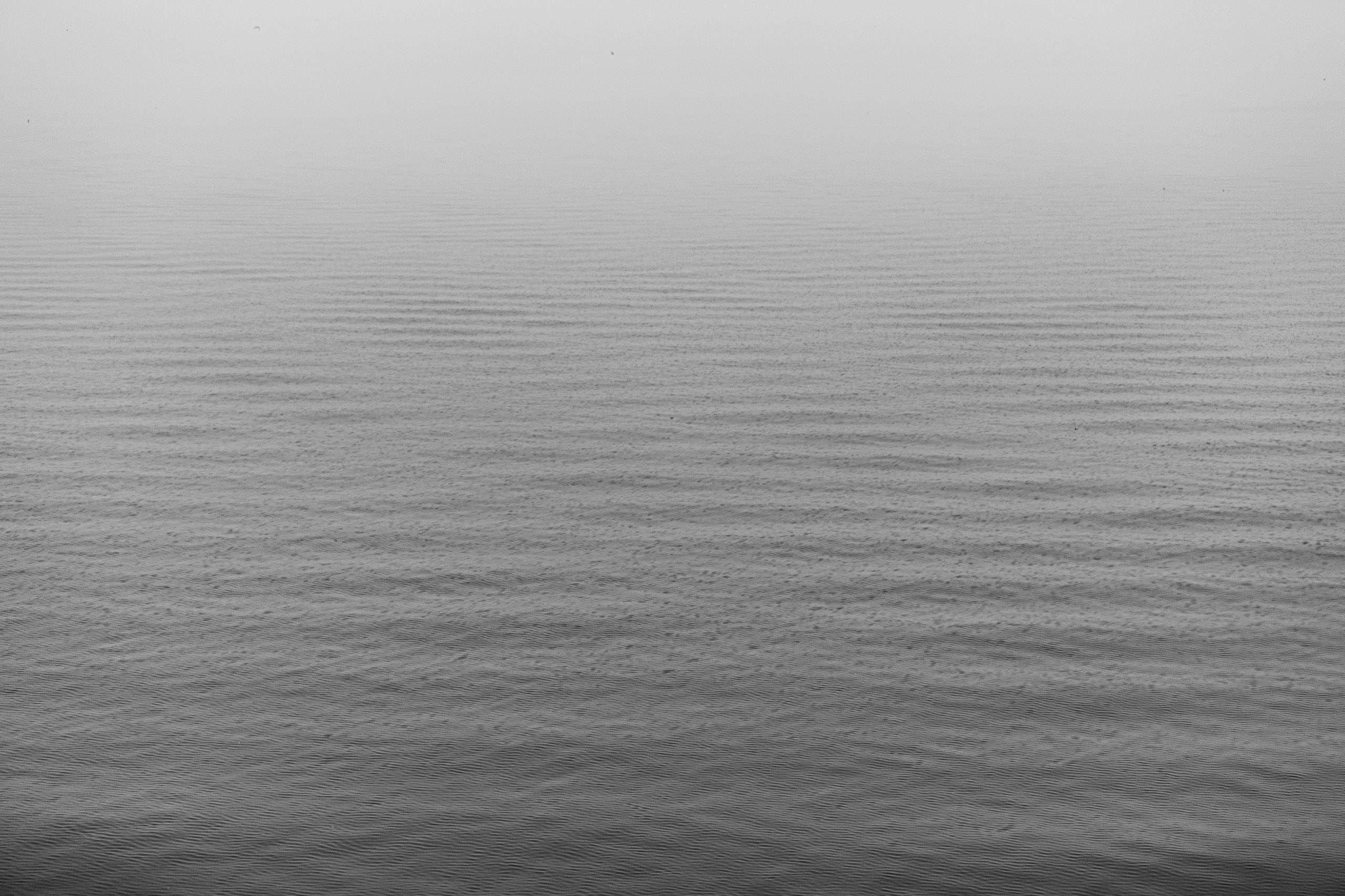 20240104093940 RD4 8889