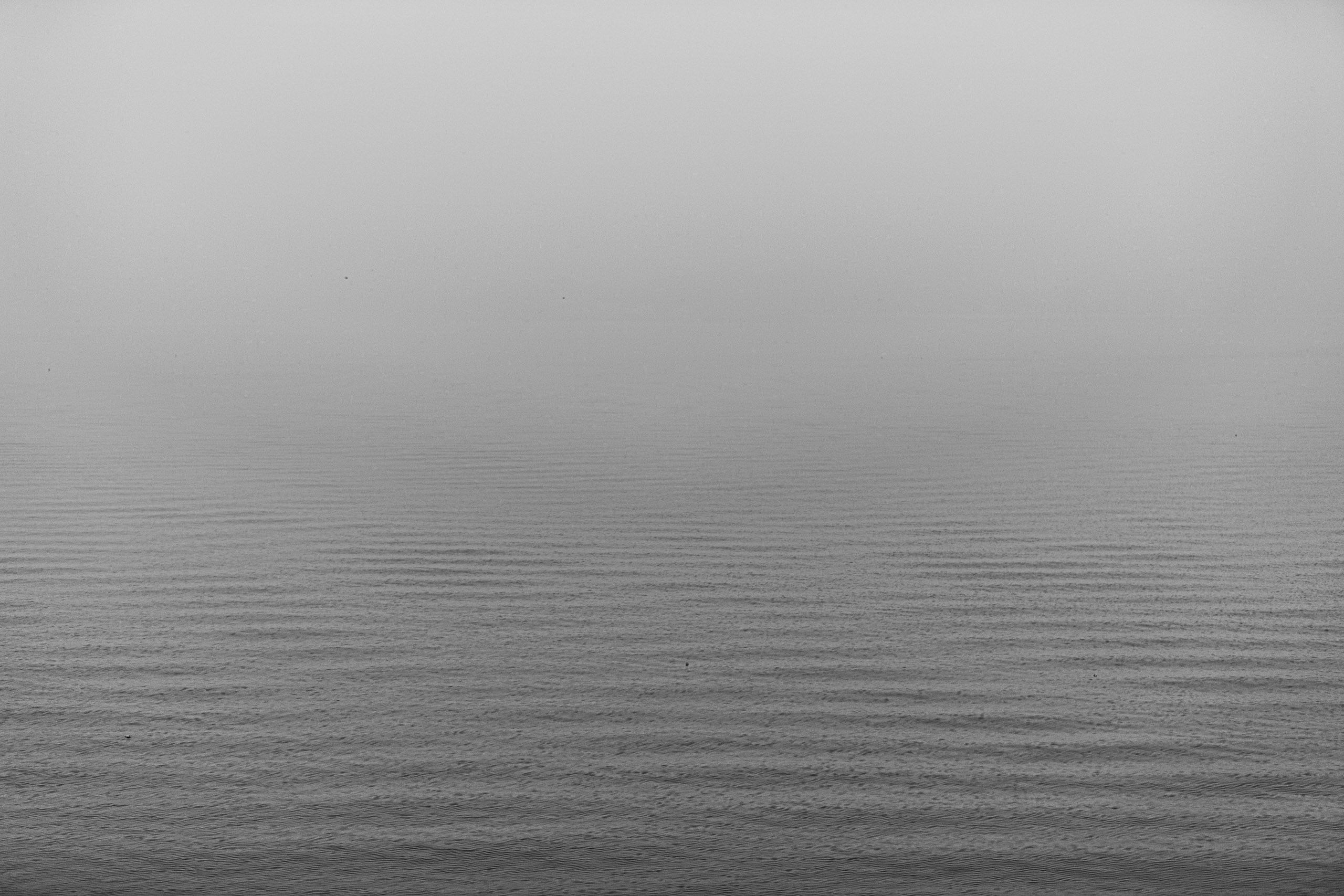 20240104093941 RD4 8891