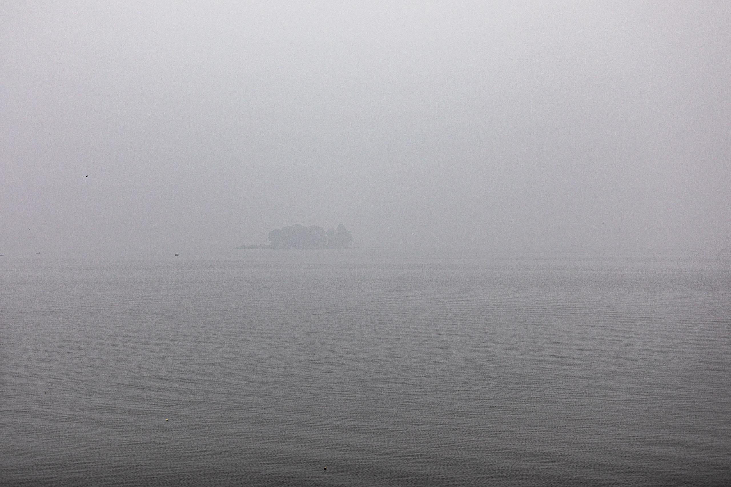 20240104094052 RD4 8917