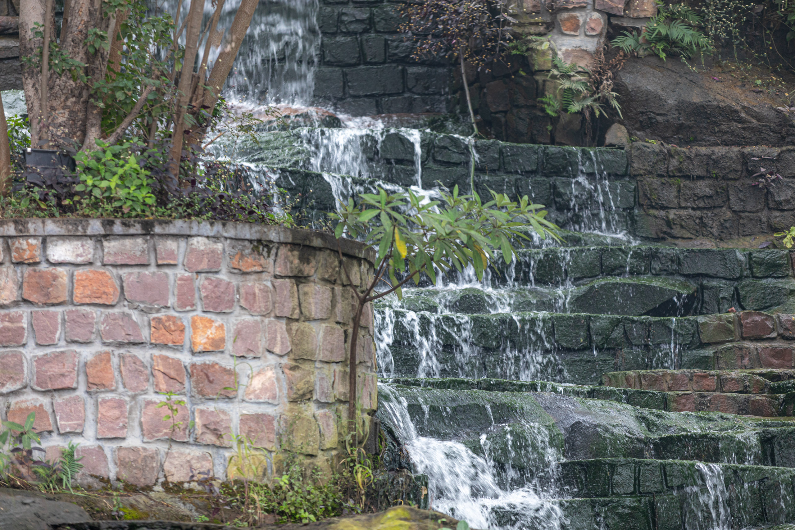 20240104094305 RD4 8936