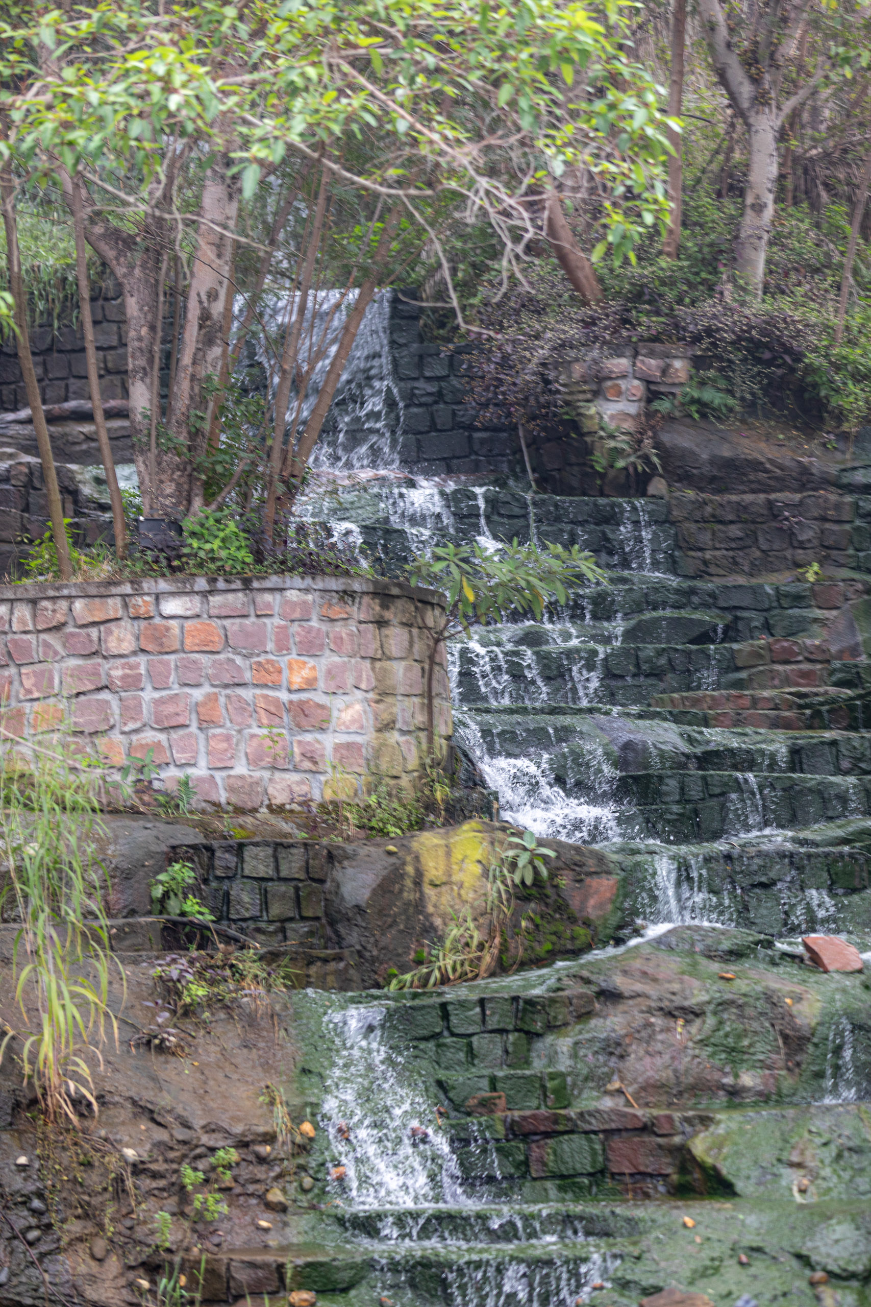 20240104094310 RD4 8938