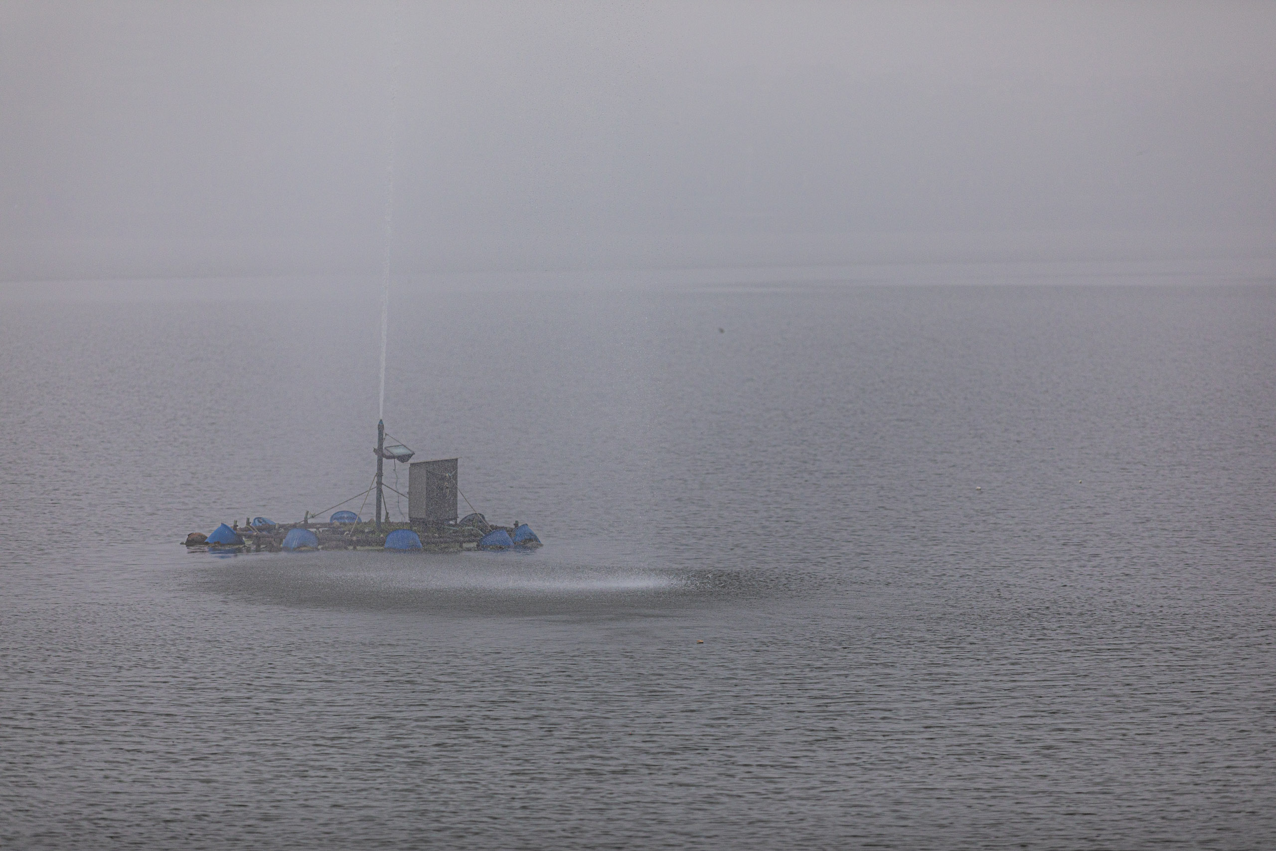 20240104094426 RD4 8958