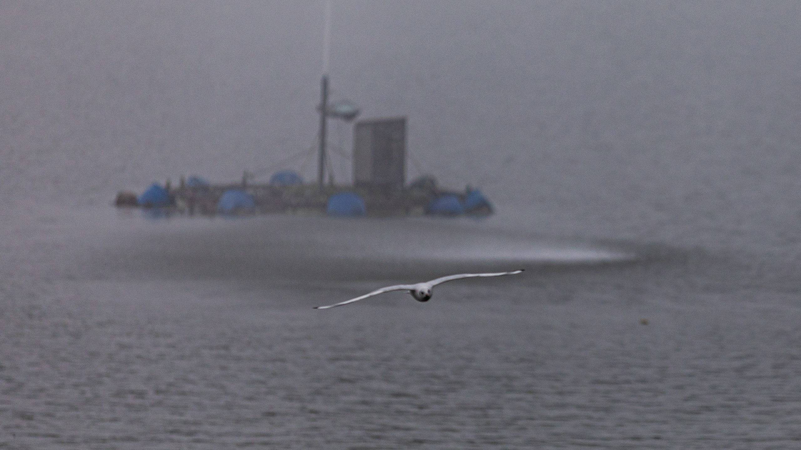 20240104094446 RD4 8964