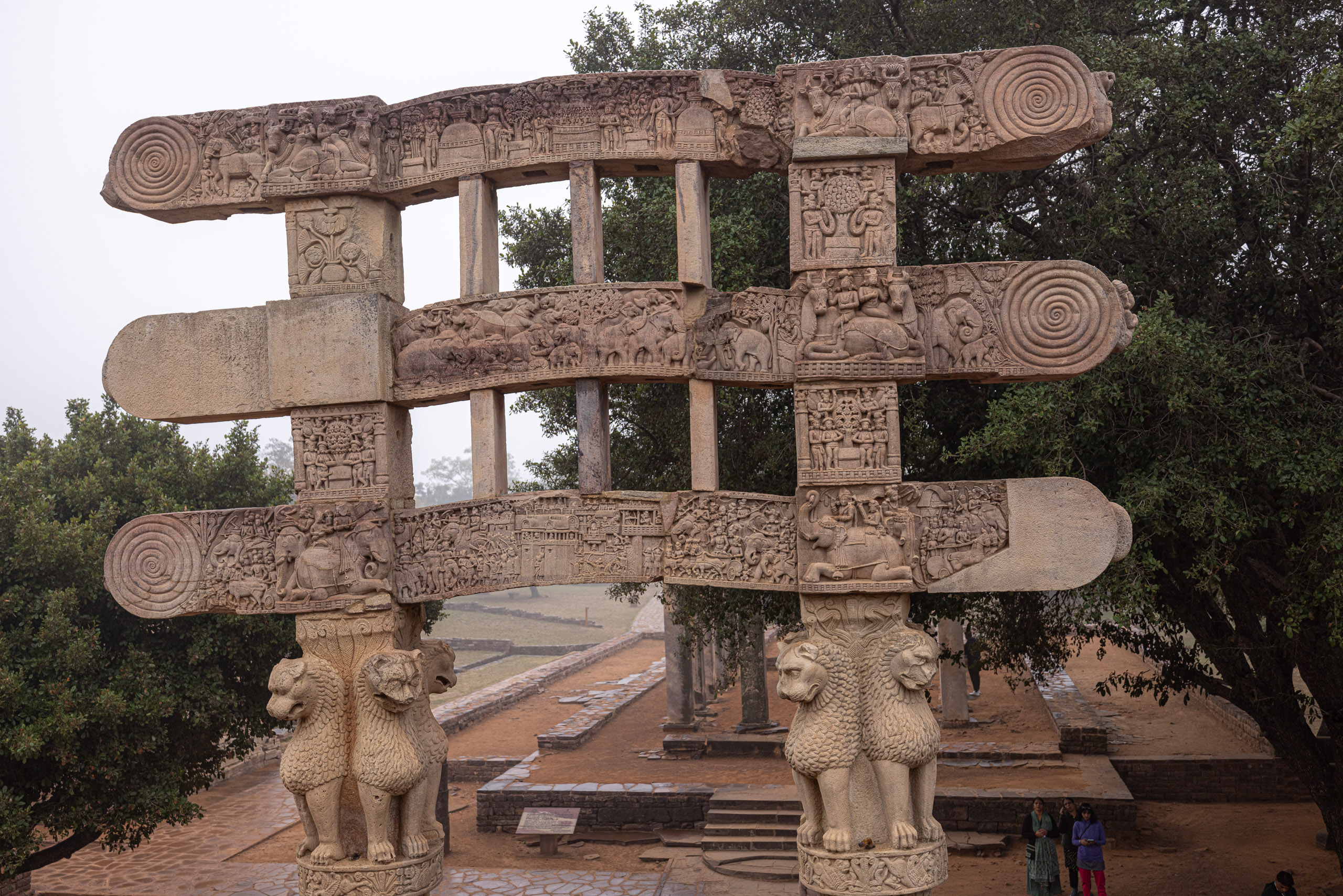 20240104124036 R5D 1207