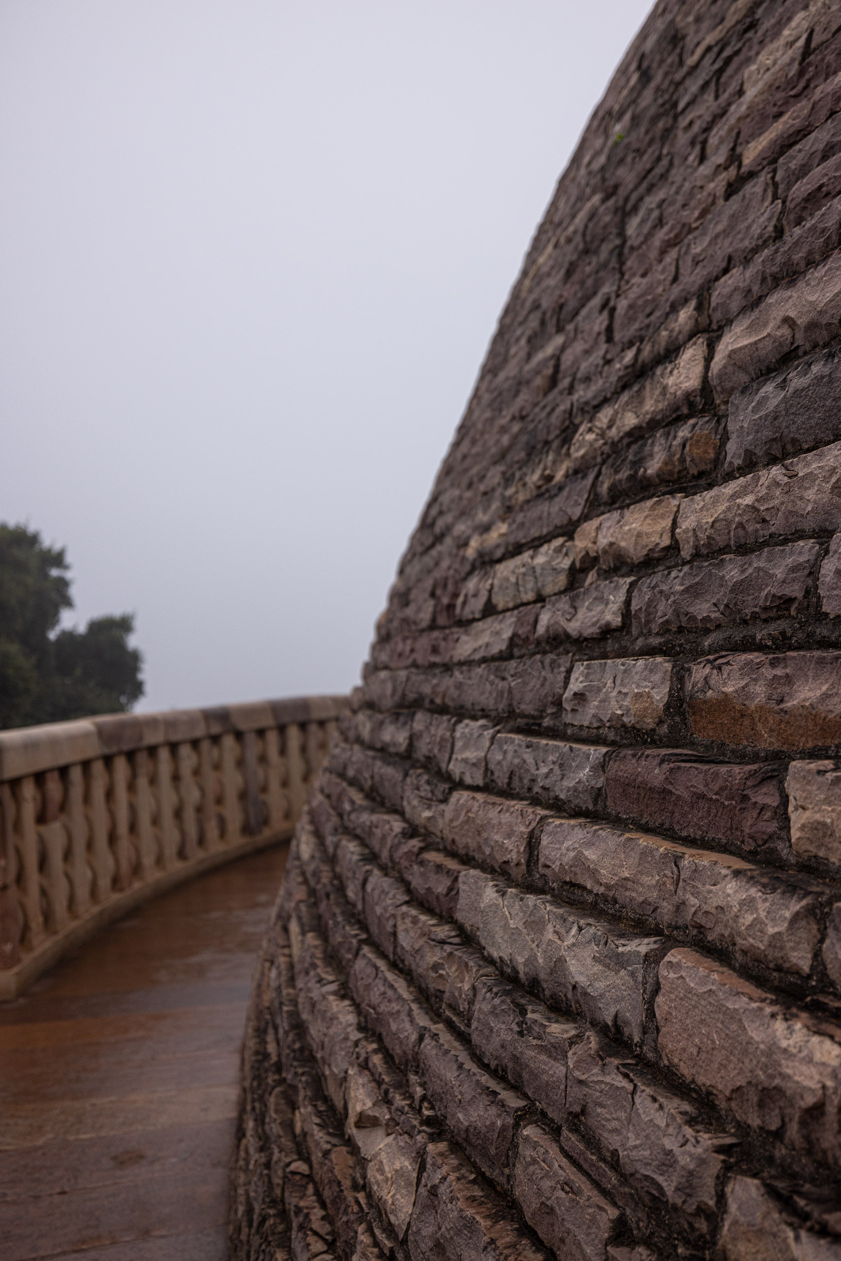 20240104124453 R5D 1235