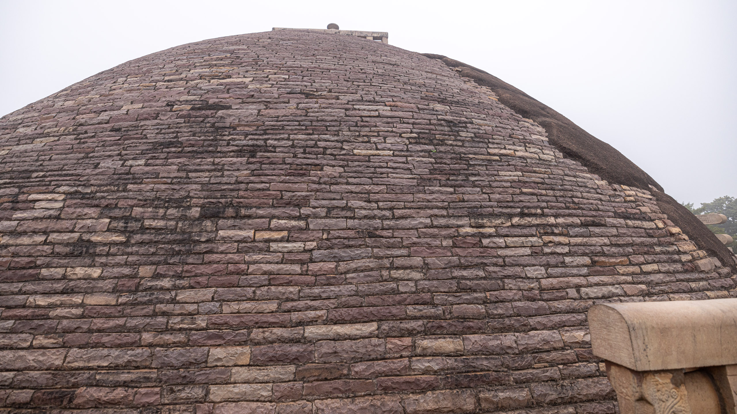 20240104124753 R5D 1261