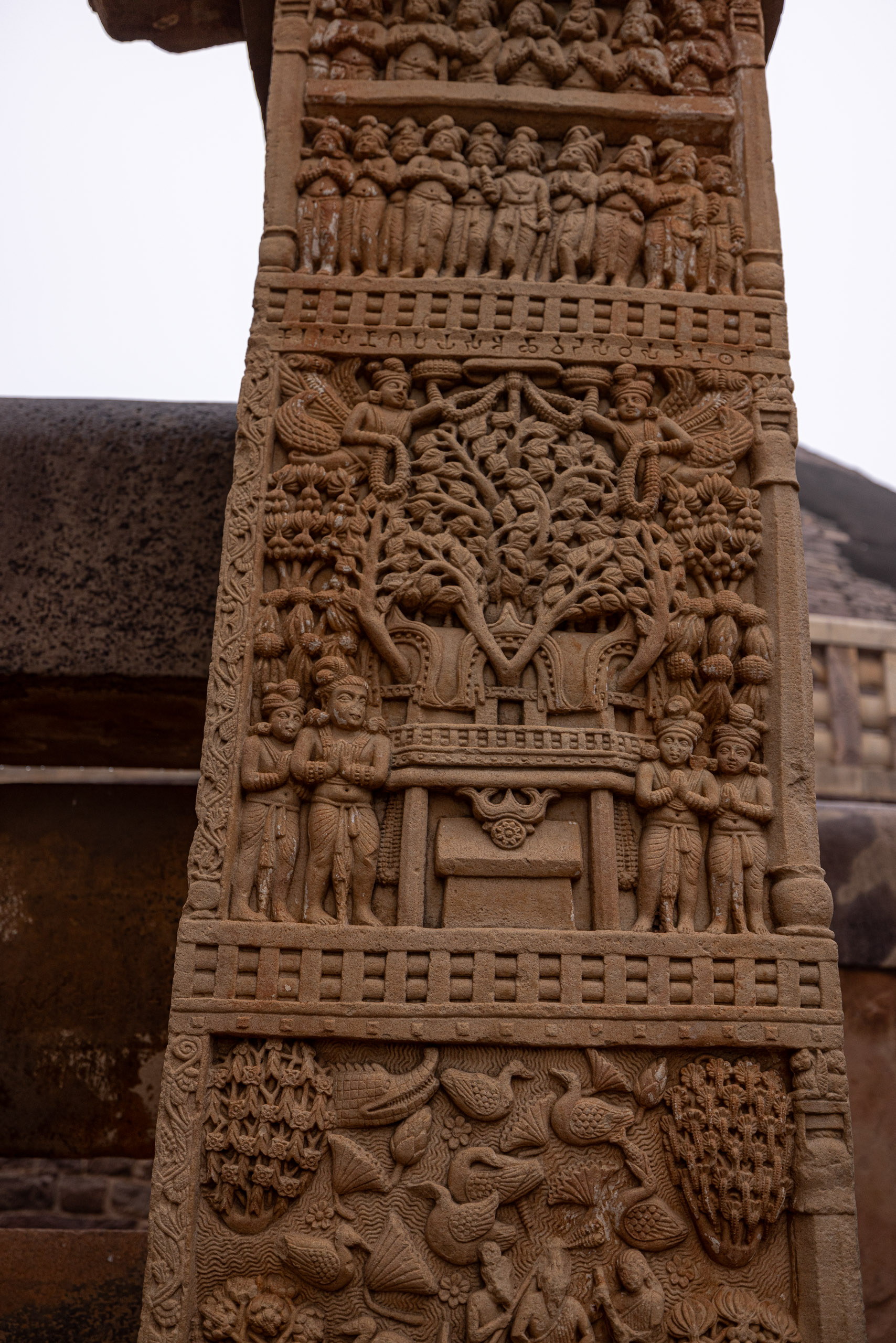 20240104125812 R5D 1311