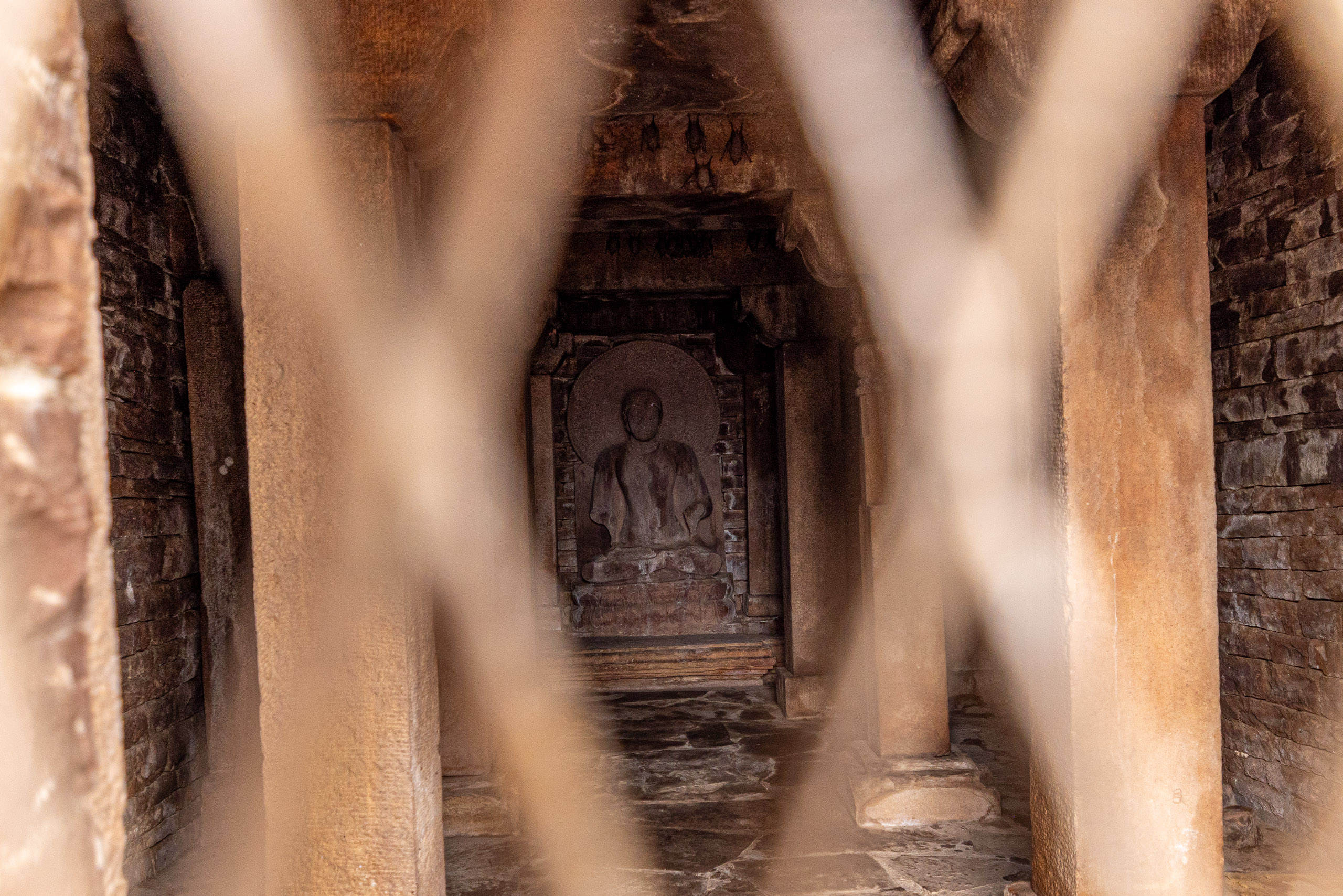 20240104130012 R5D 1323