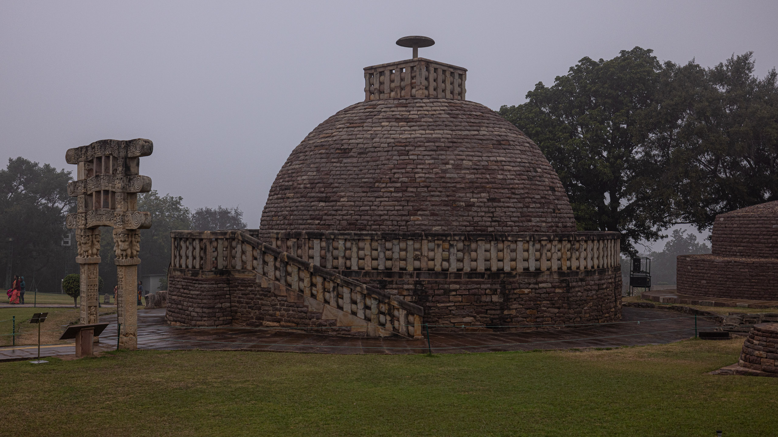 20240104130204 R5D 1333