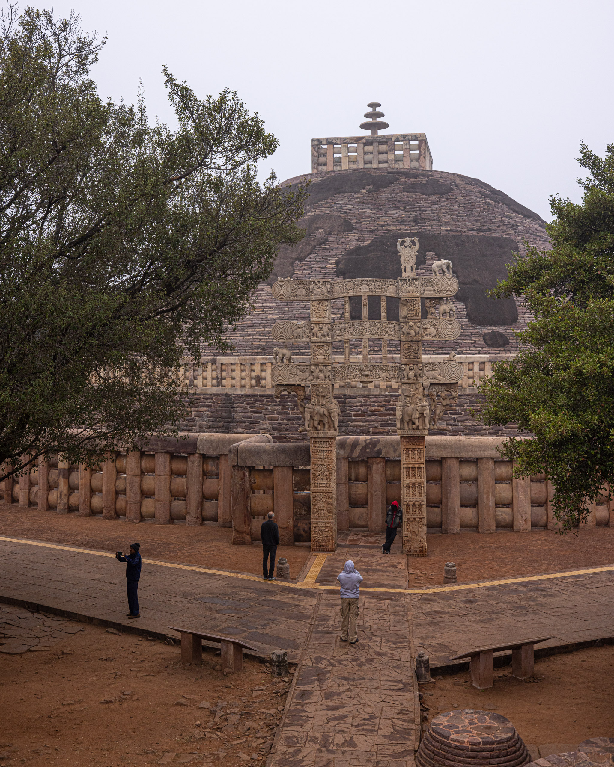 20240104140202 R5D 1419