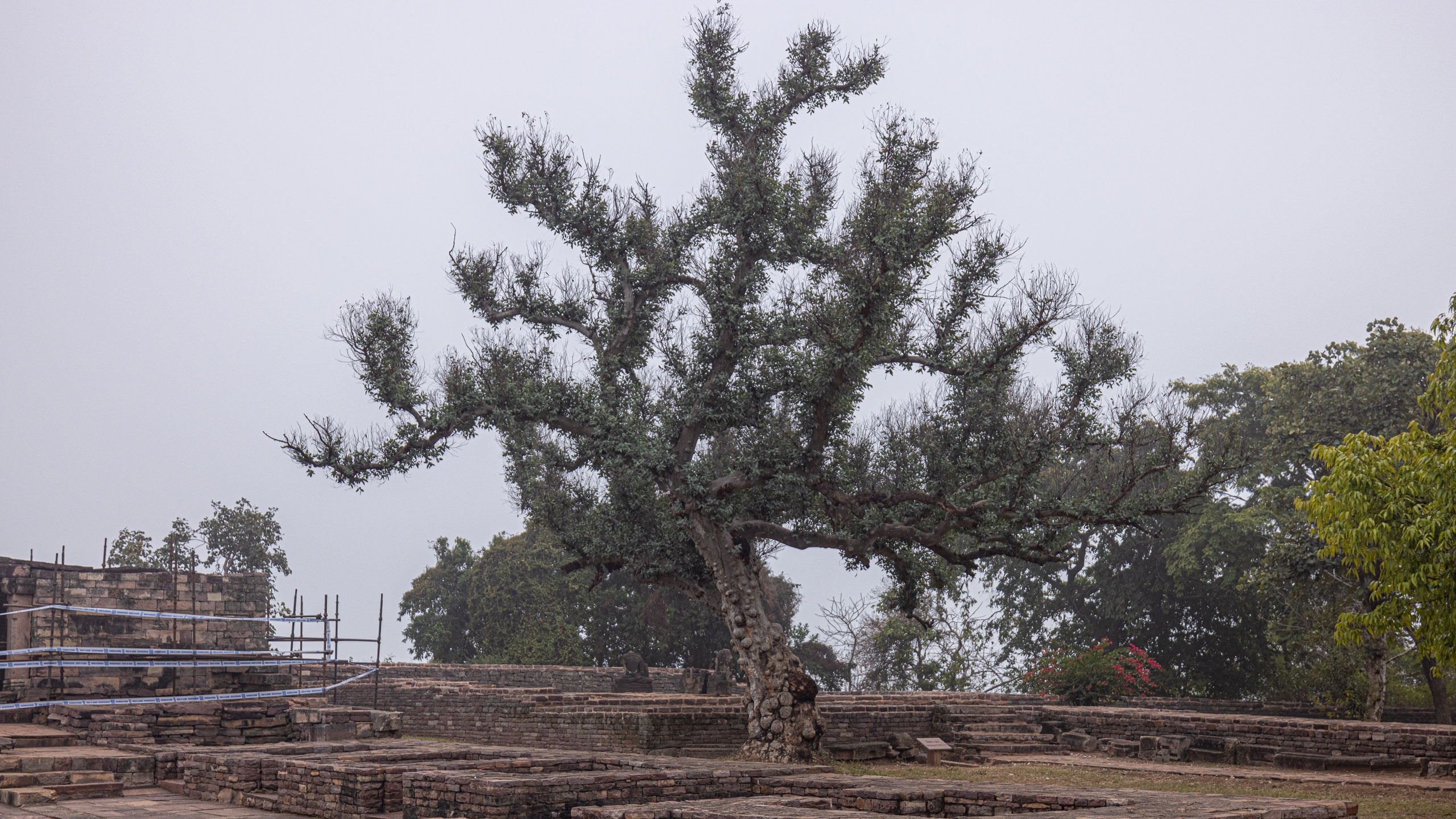 20240104141137 R5D 1438