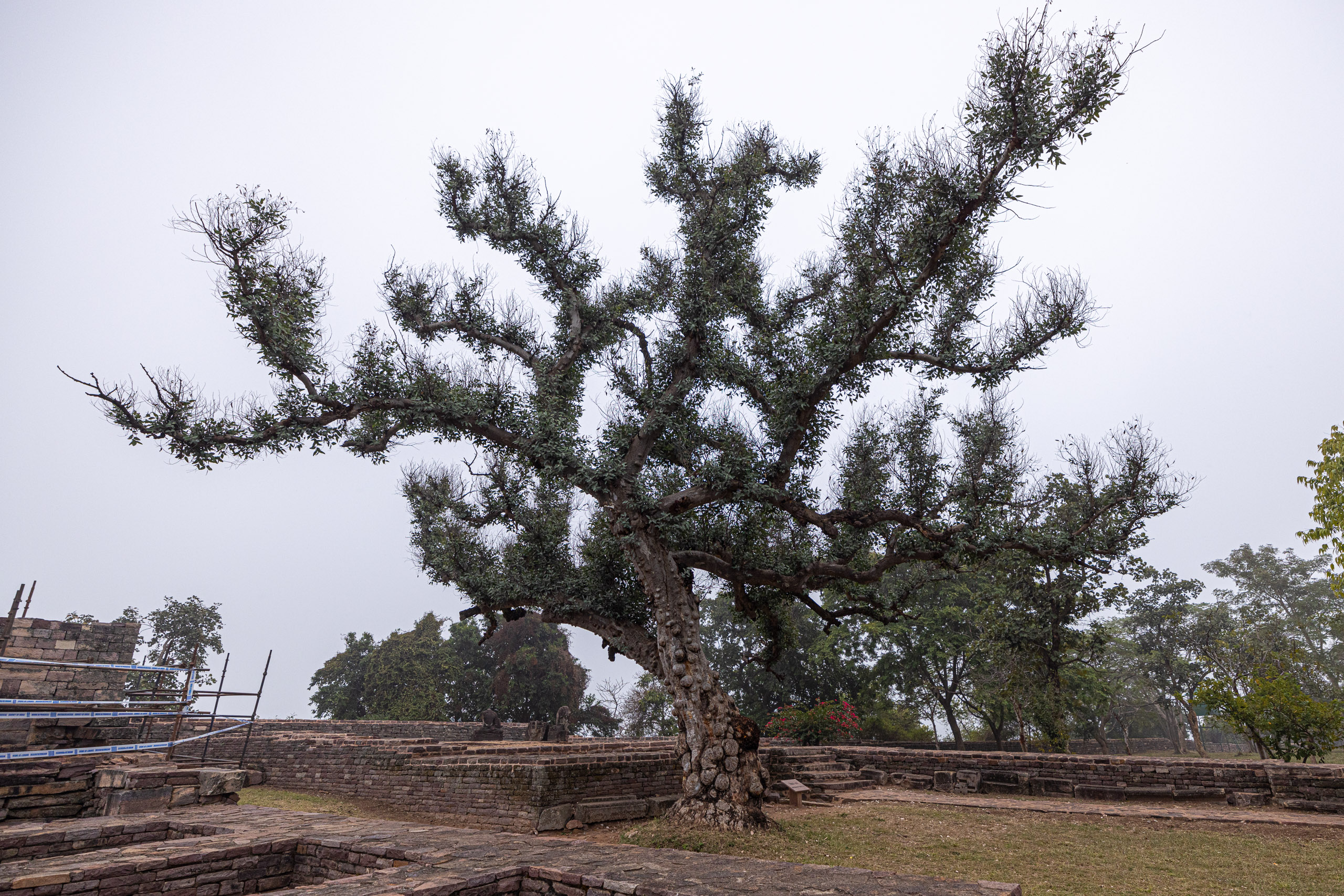 20240104141203 R5D 1440