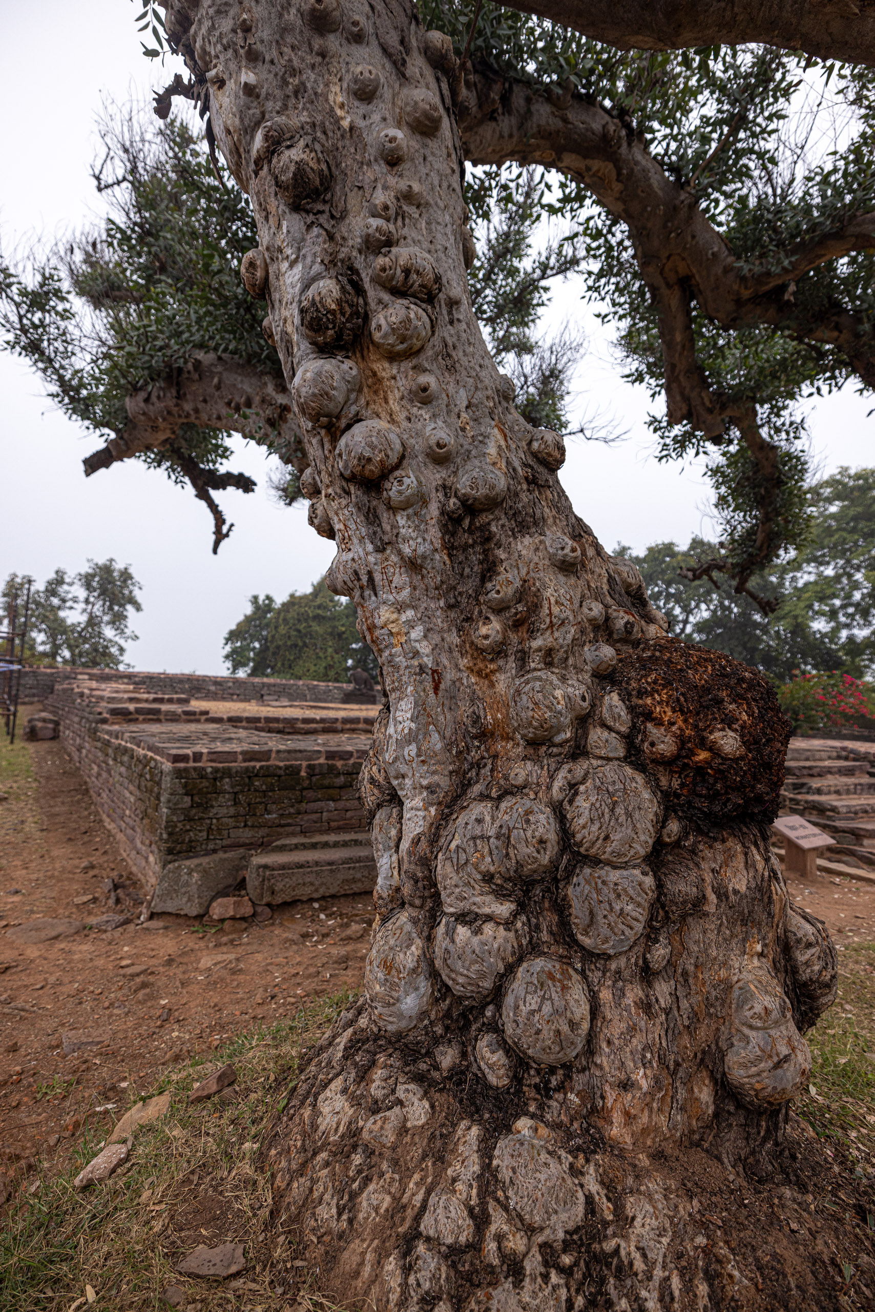 20240104141347 R5D 1446