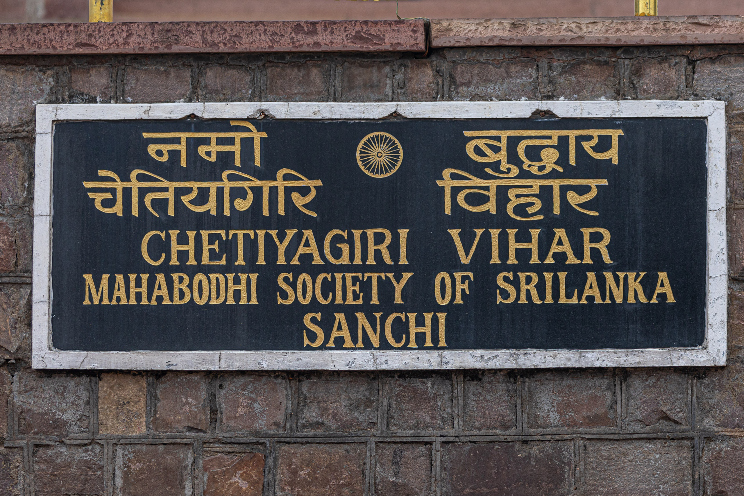 20240104142934 RD4 9151