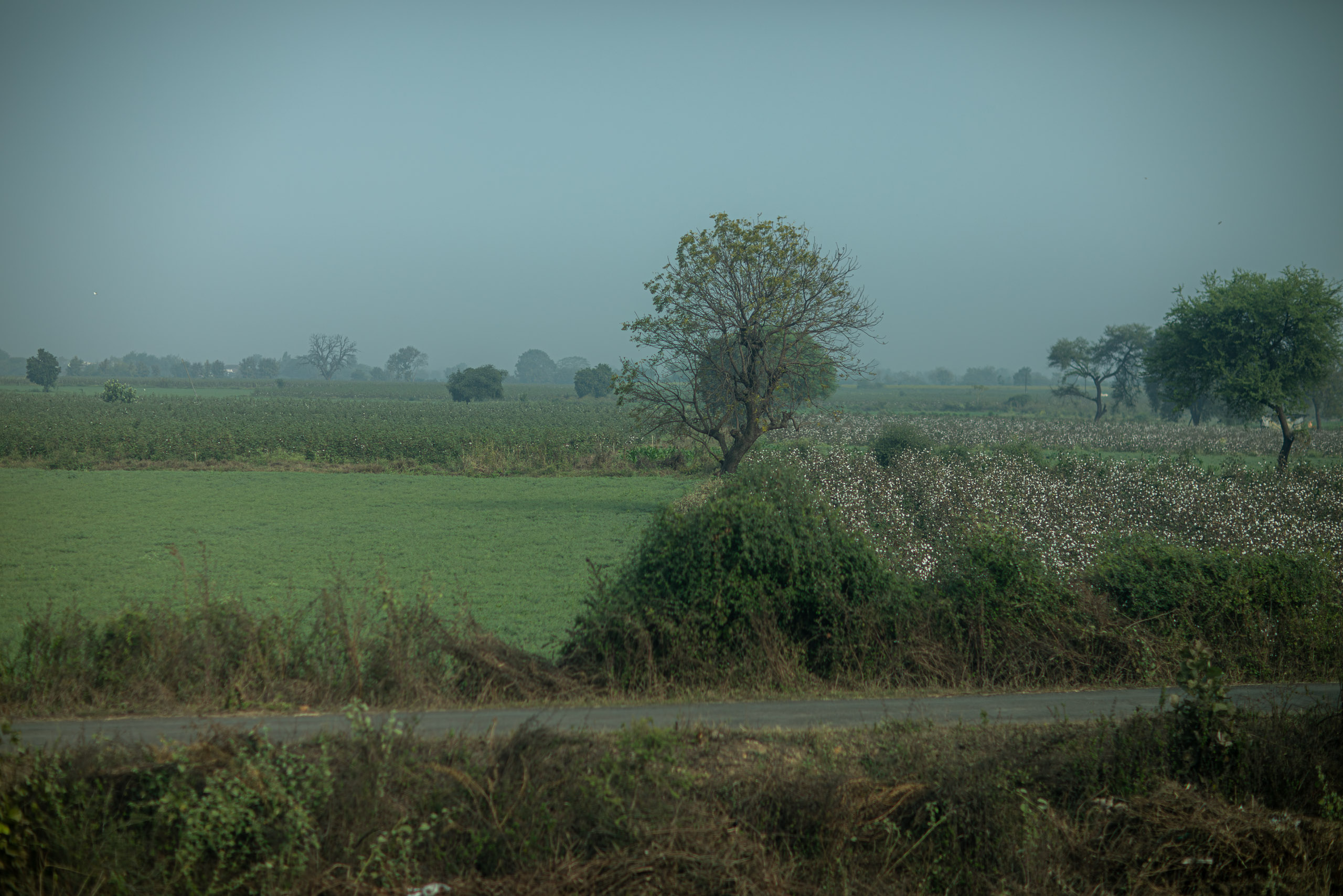 20240103095830 RD4 8839 e