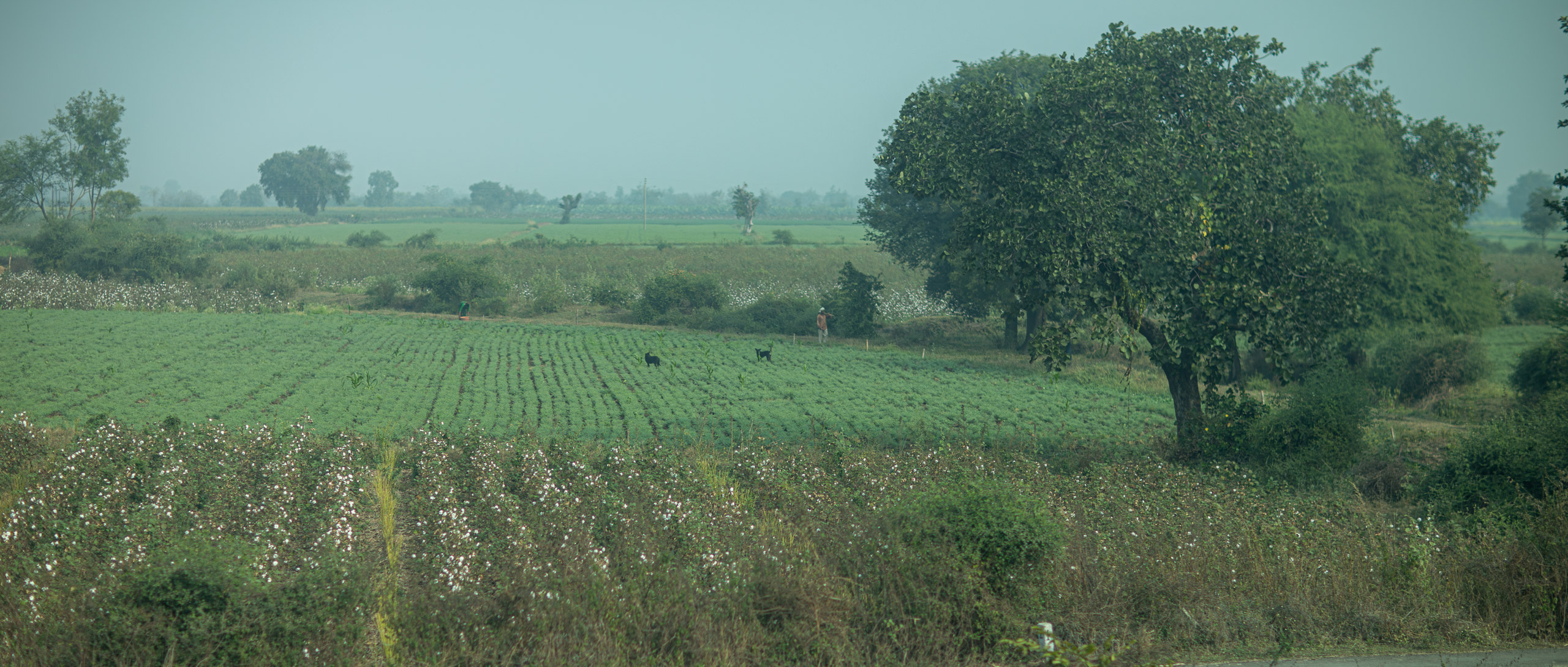 20240103095839 RD4 8843 e