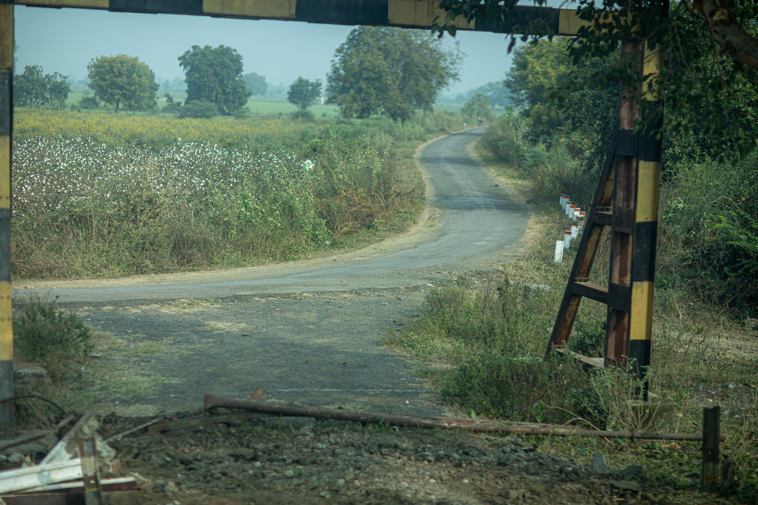 20240103095856 RD4 8847 e