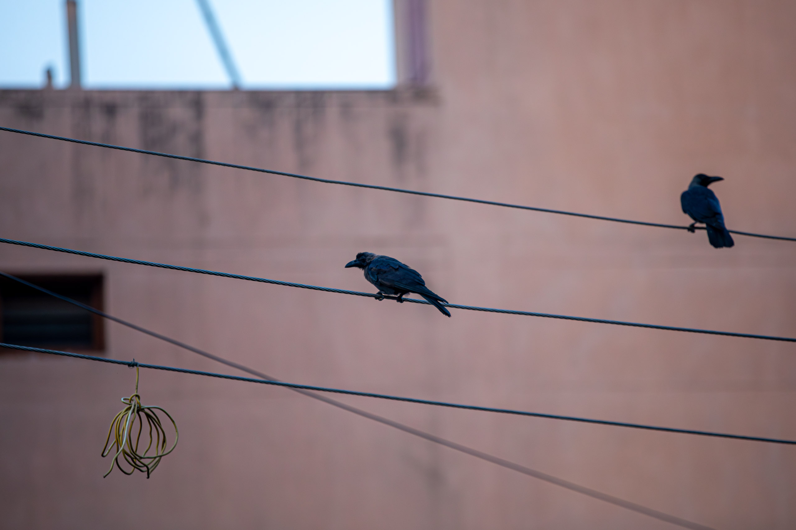 20231224065018 RD4 5152 e