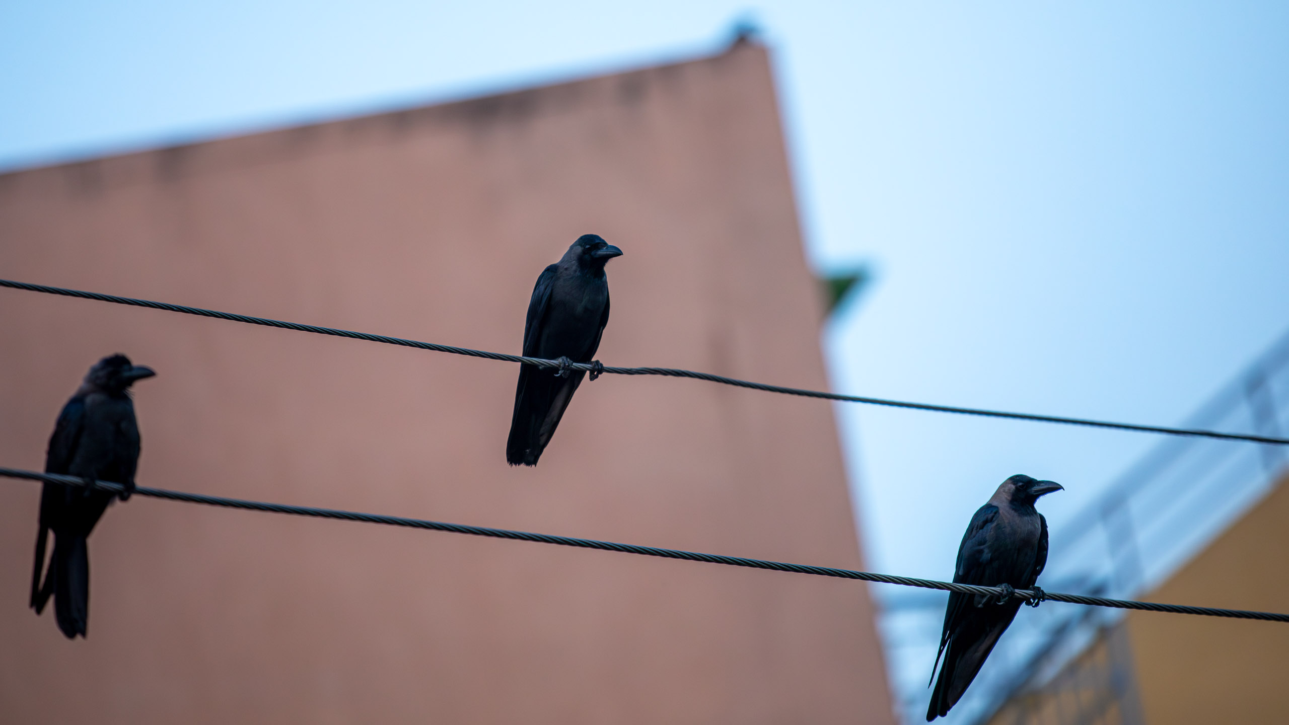 20231224065047 RD4 5165 e