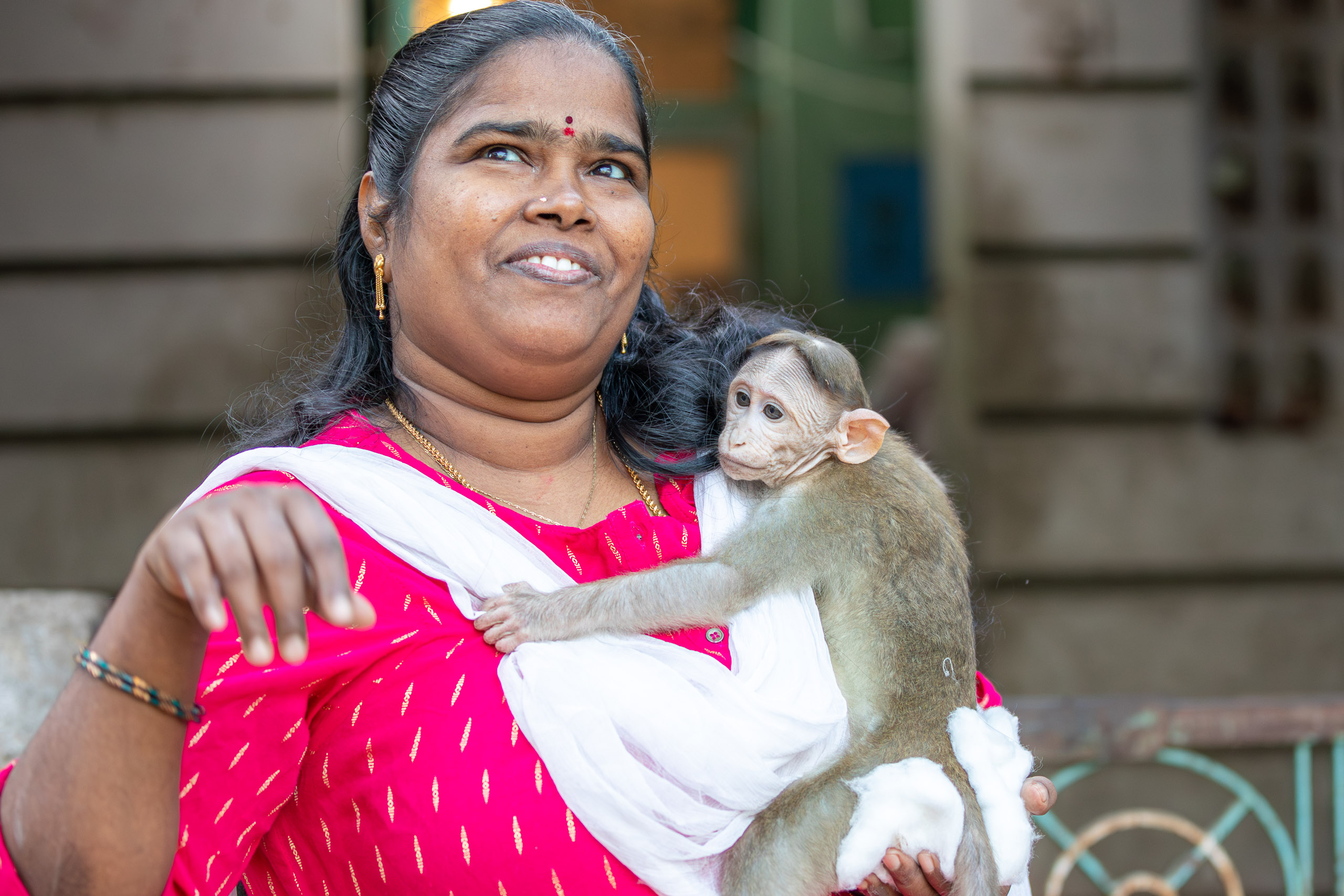 20231224070054 RD4 5316 e