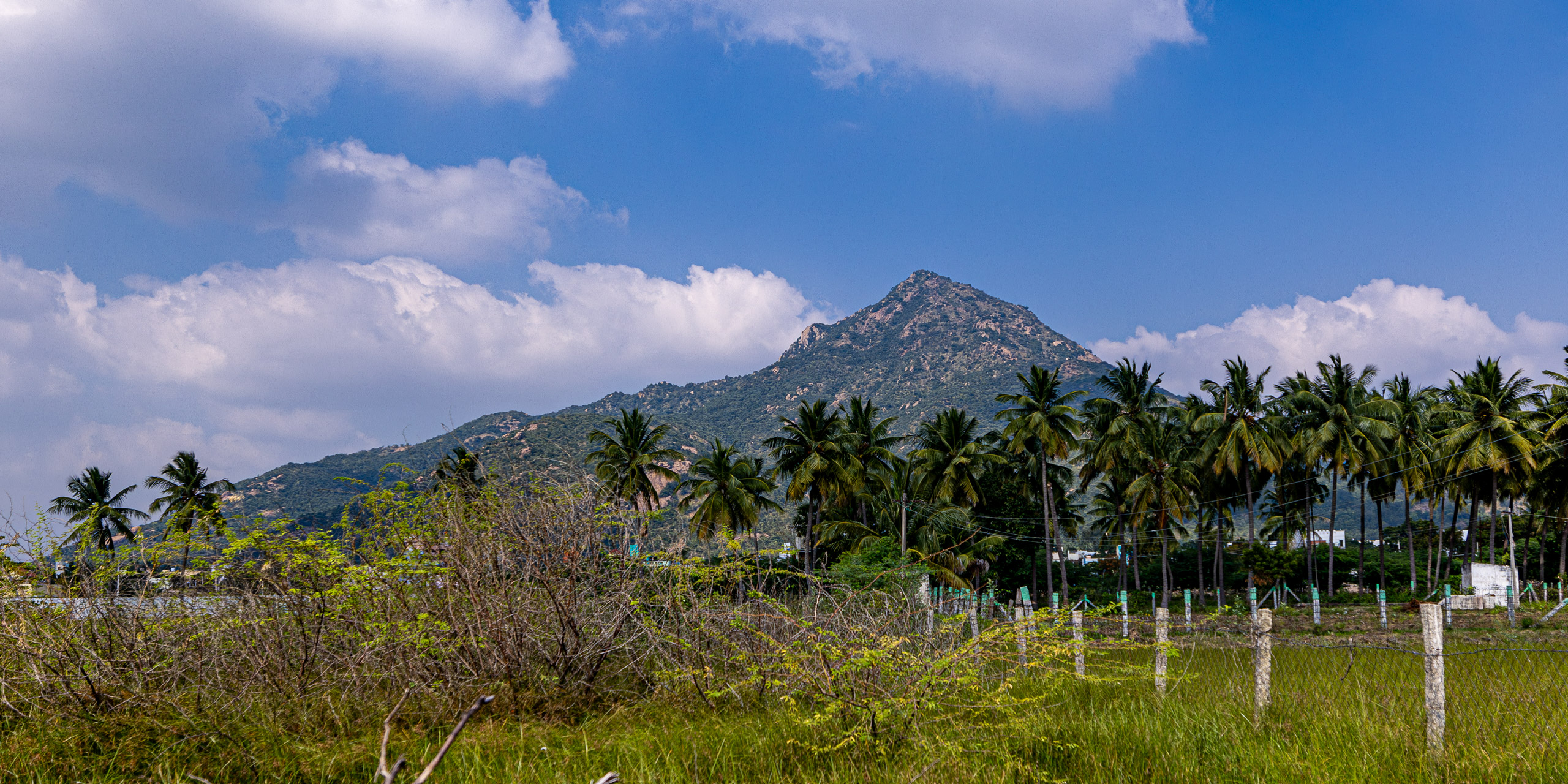 20231226134024 R5D 8402 e