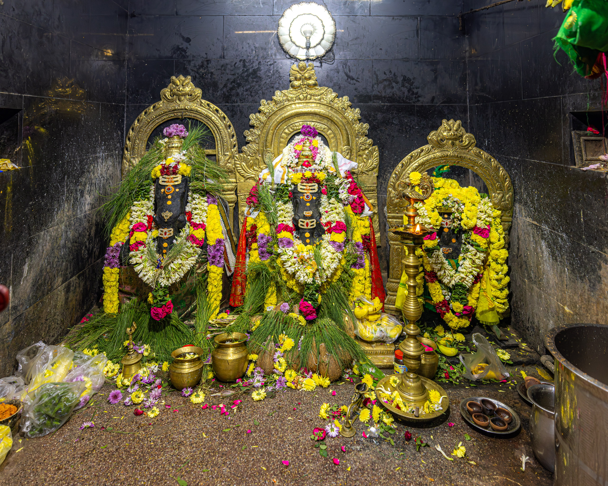 20231230195830 R5D 0215 e