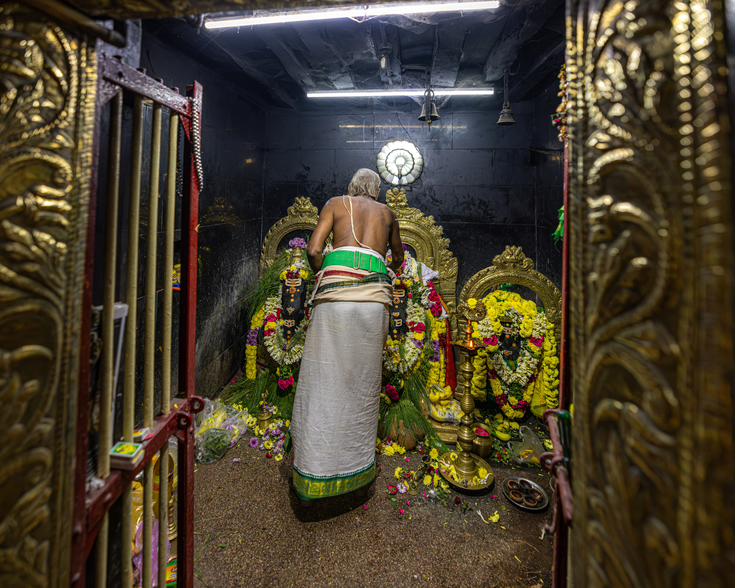 20231230195913 R5D 0233 e