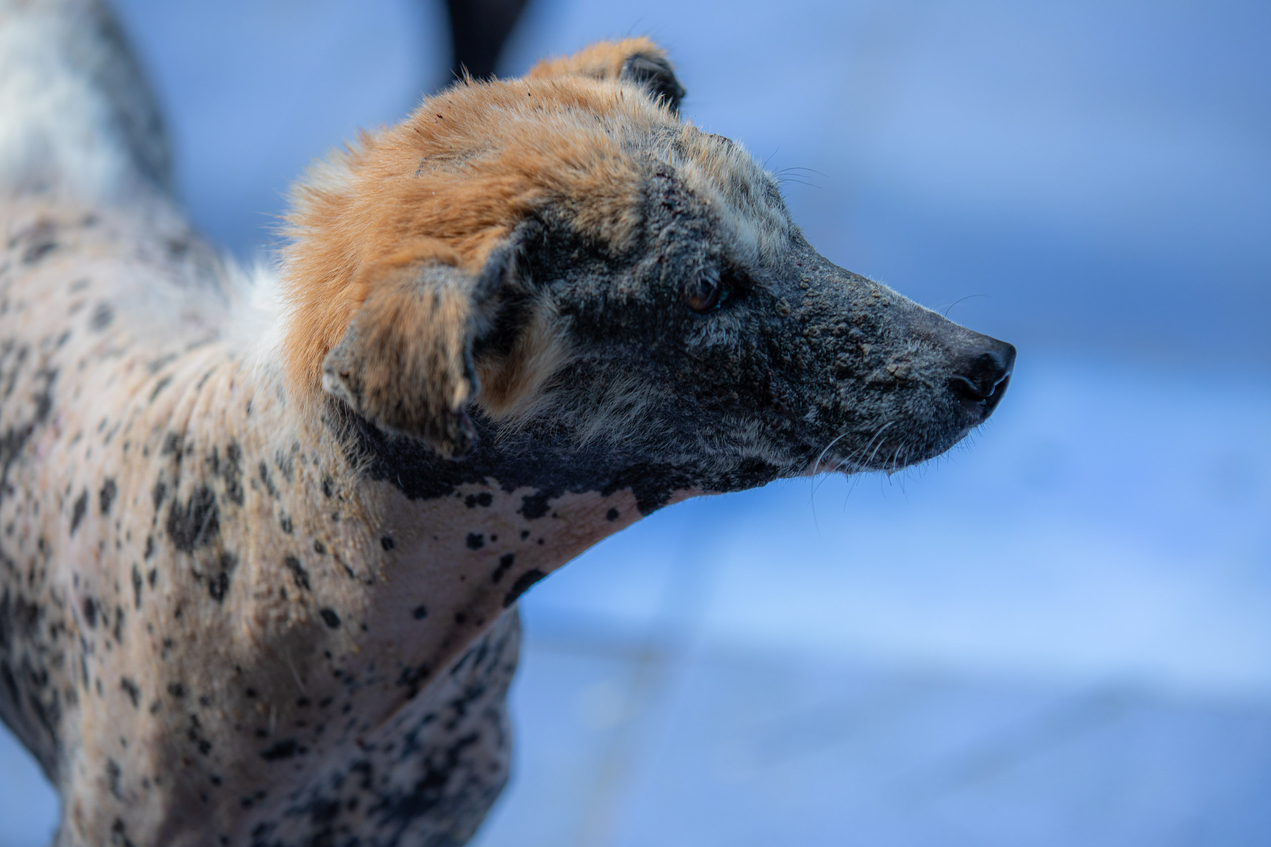 20231228091551 RD4 6665