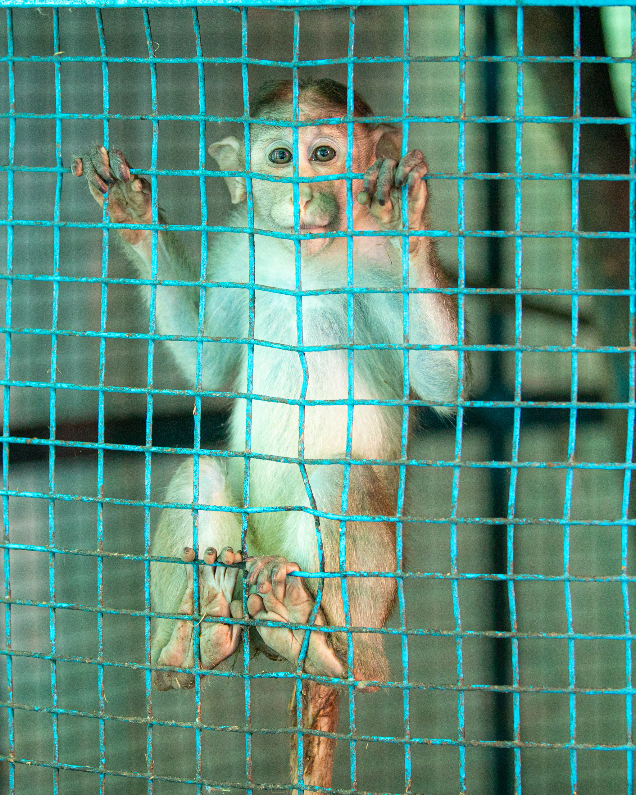 20231228093705 RD4 6941