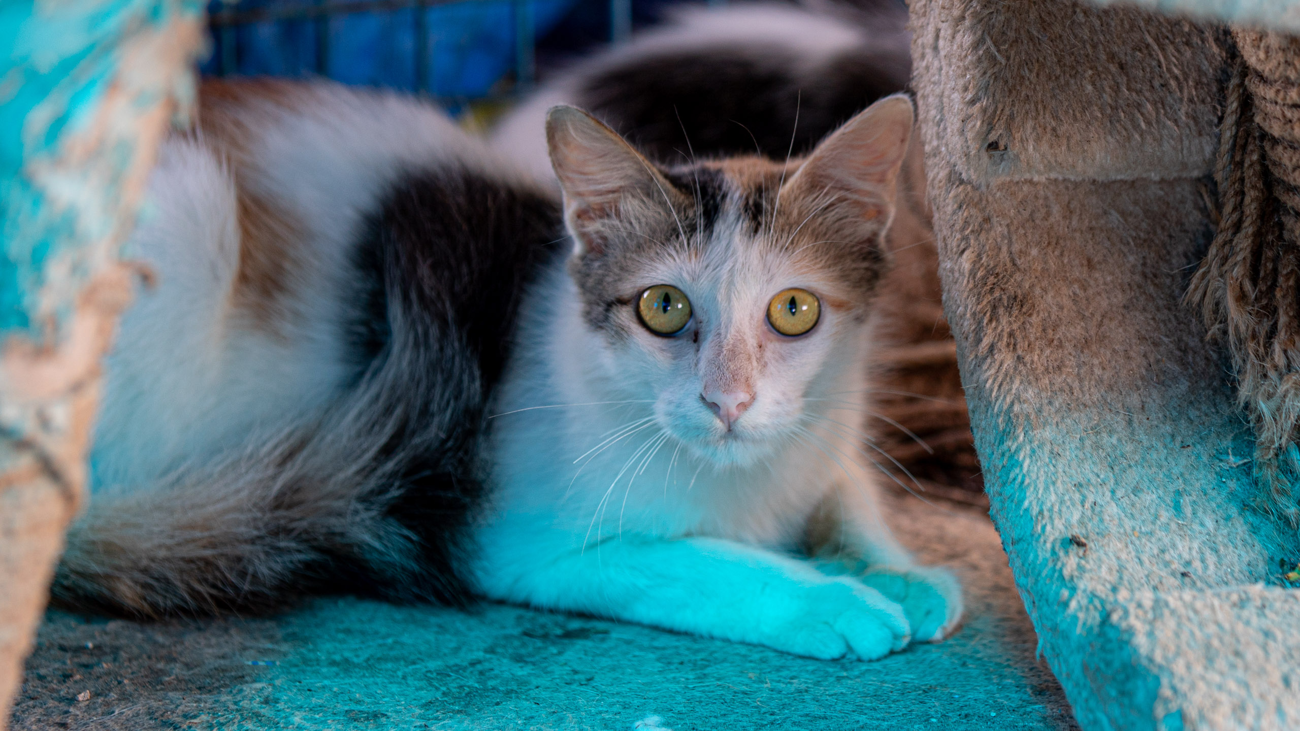 20231228093909 RD4 6973