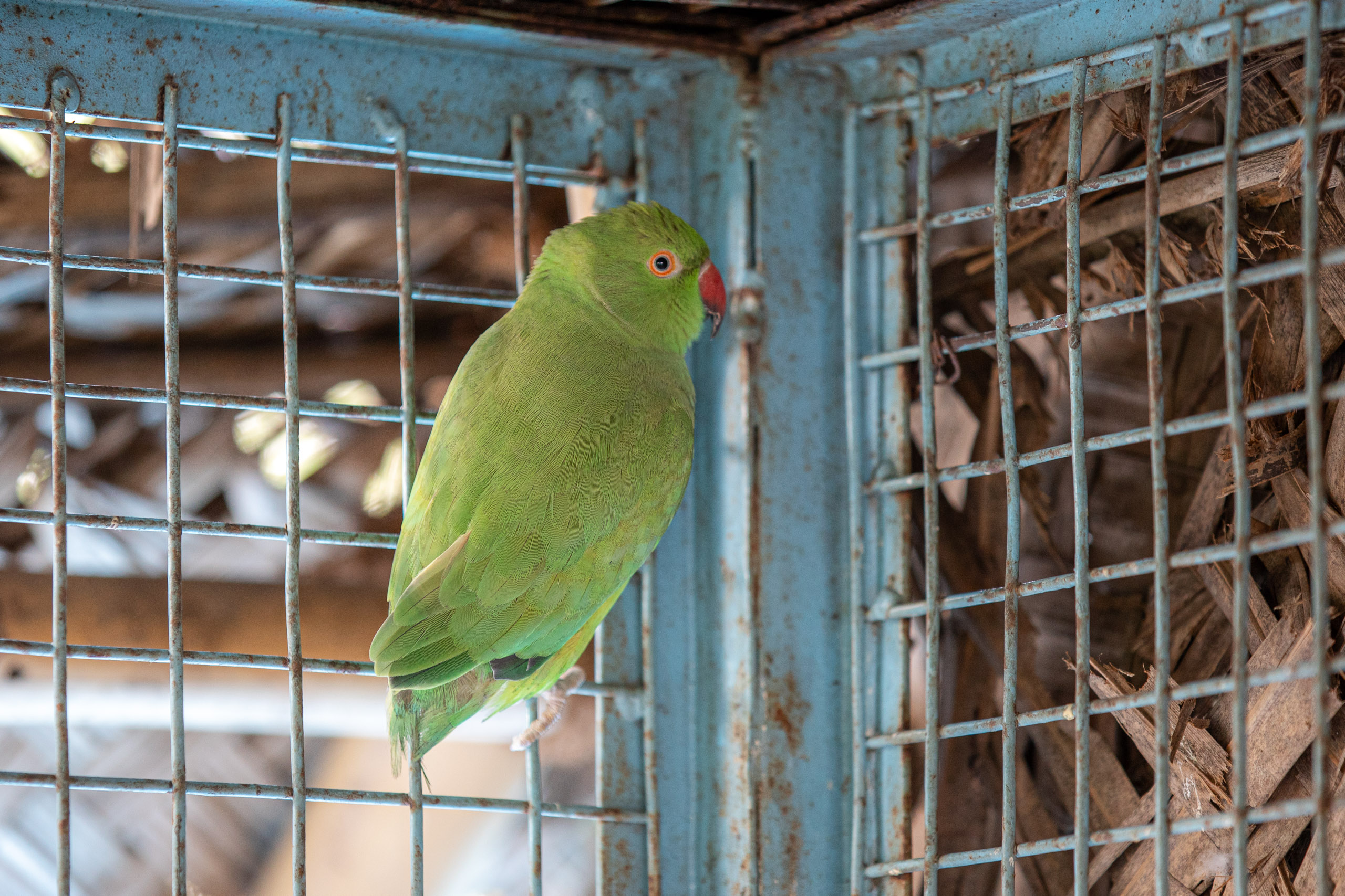 20231228094201 RD4 7042