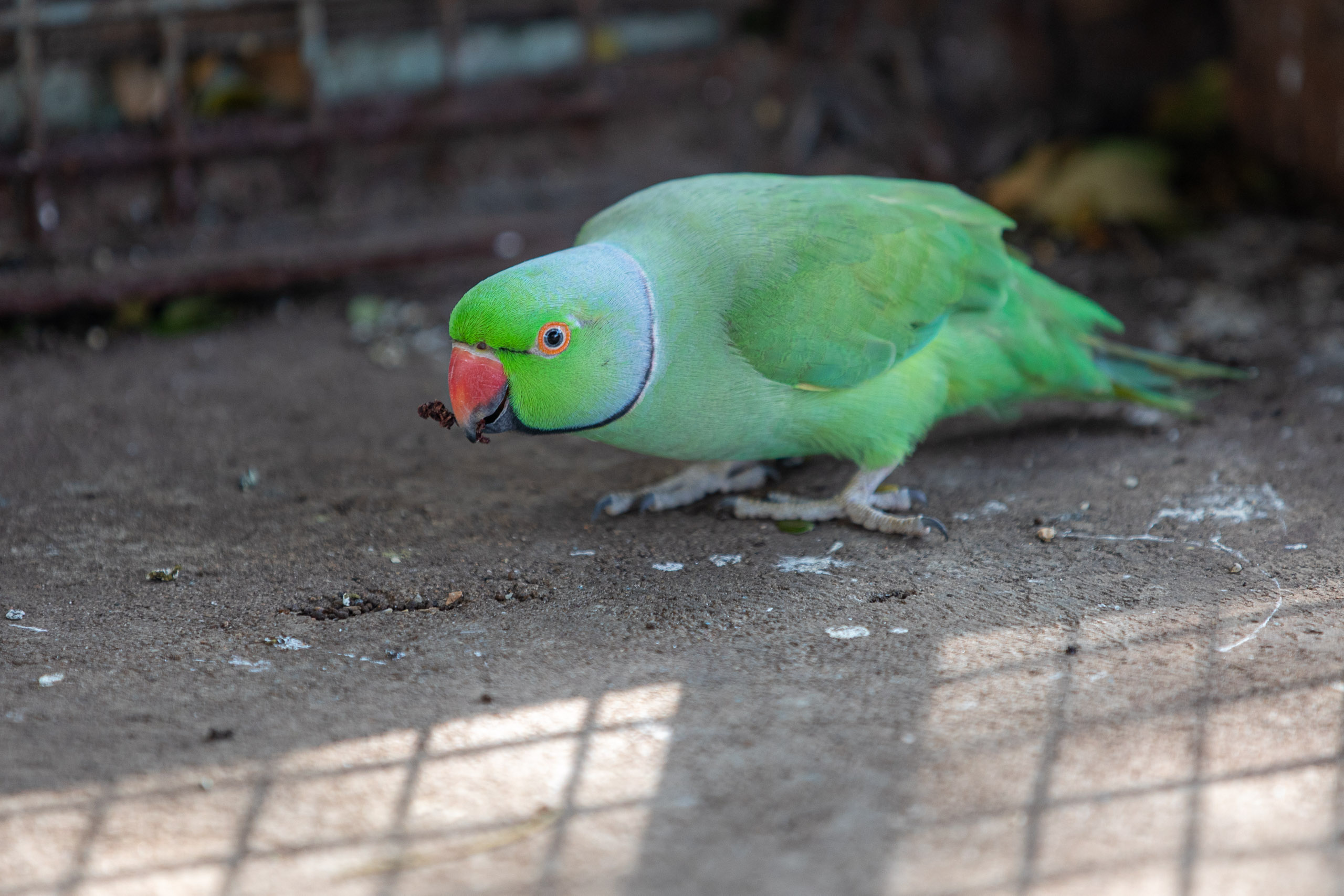 20231228094241 RD4 7074