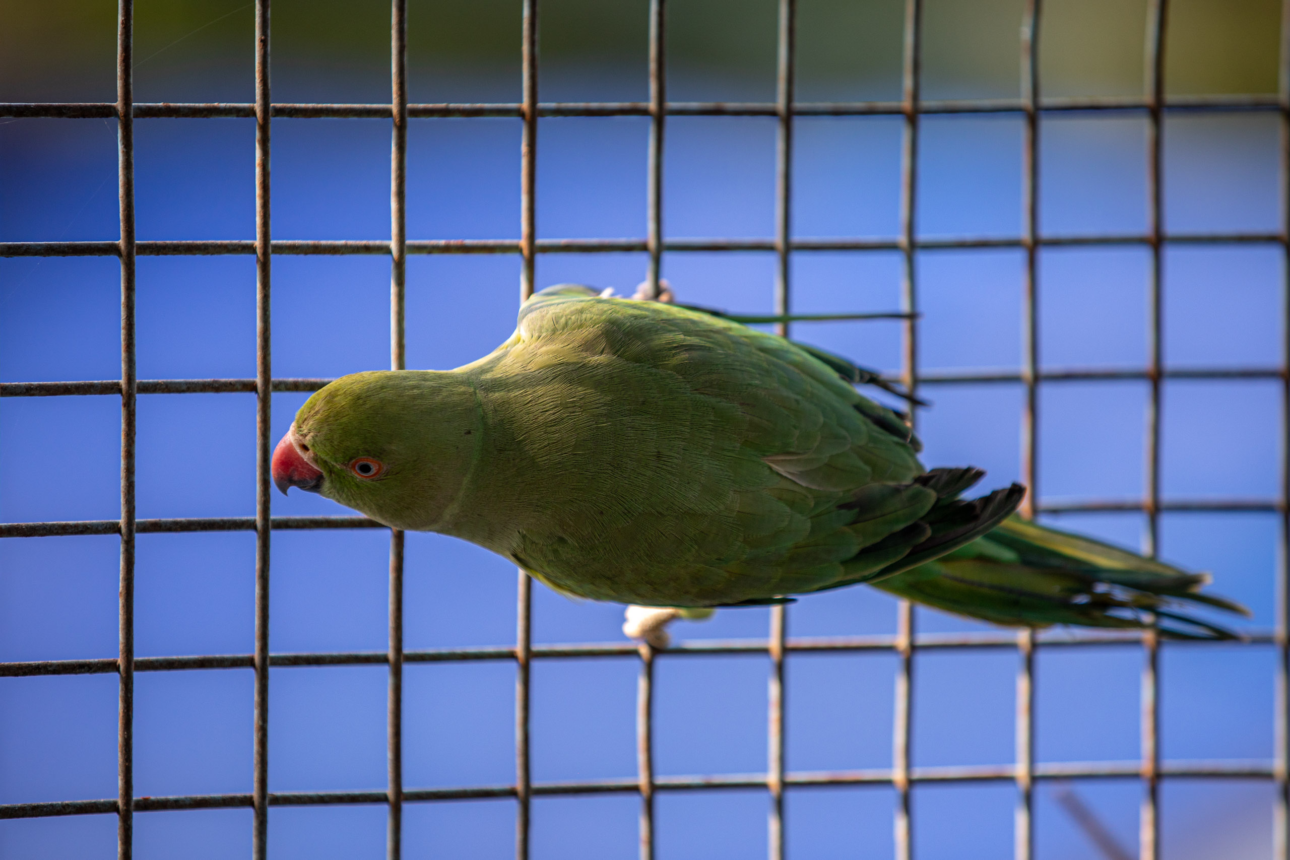 20231228094256 RD4 7082