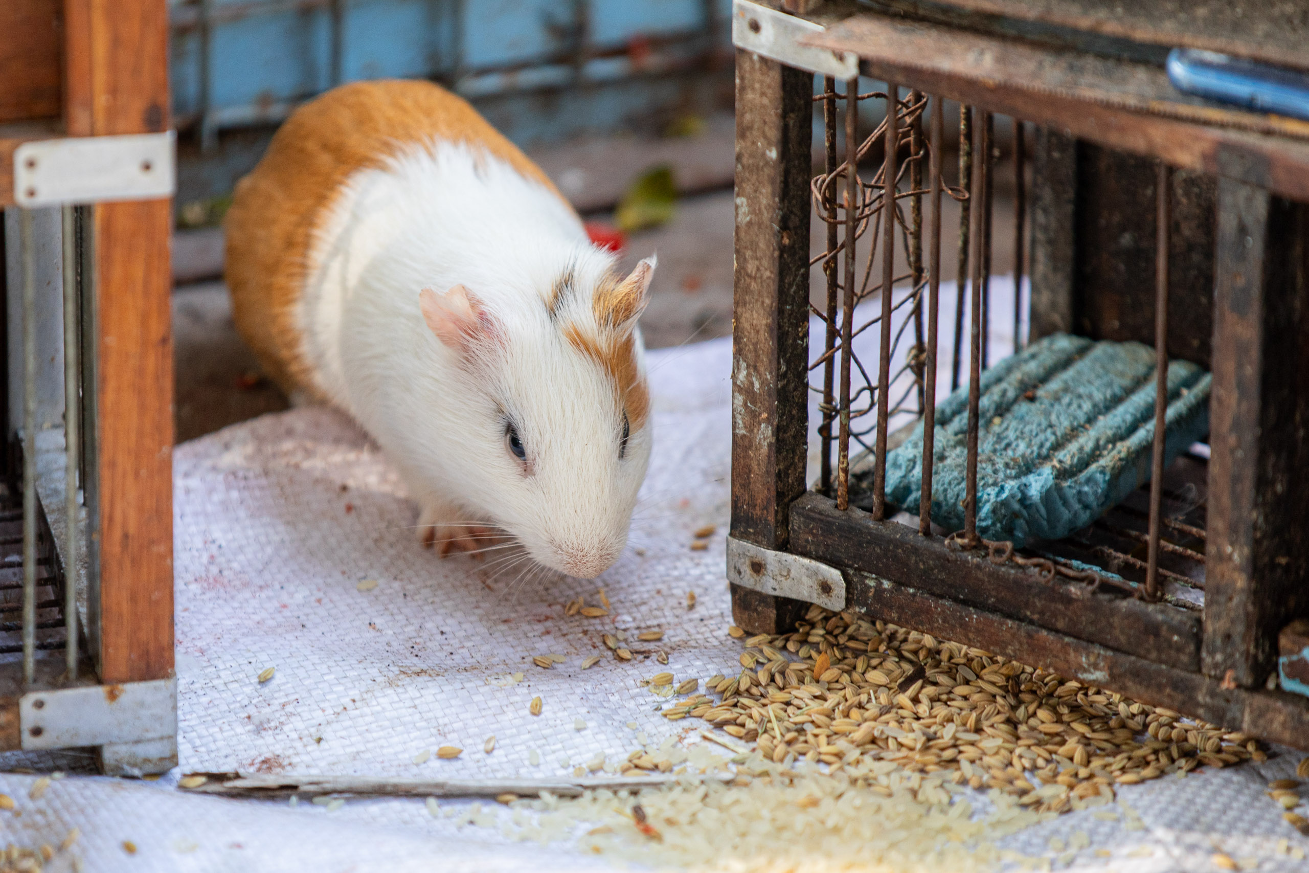 20231228094325 RD4 7093