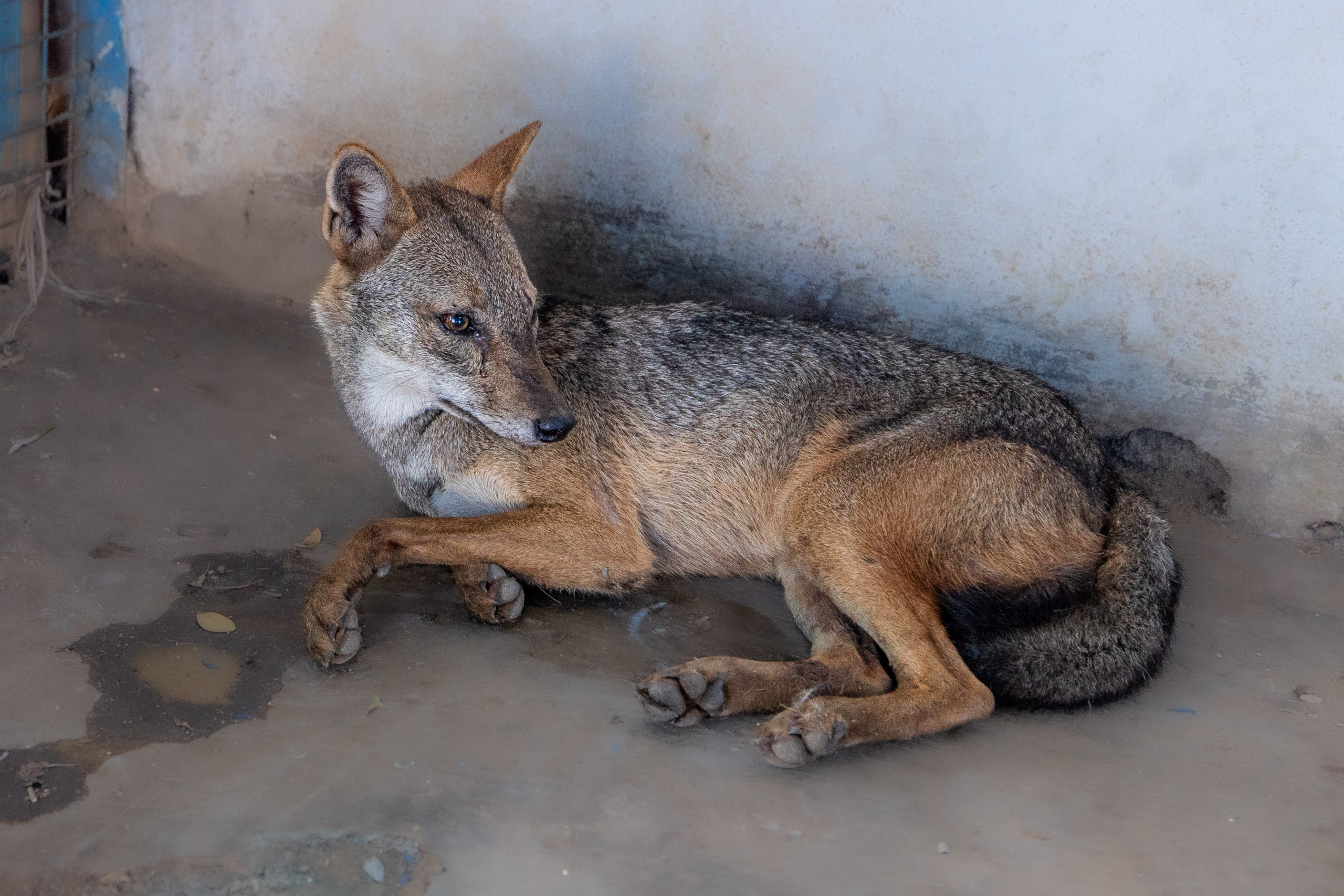 20231228095952 R5D 9082