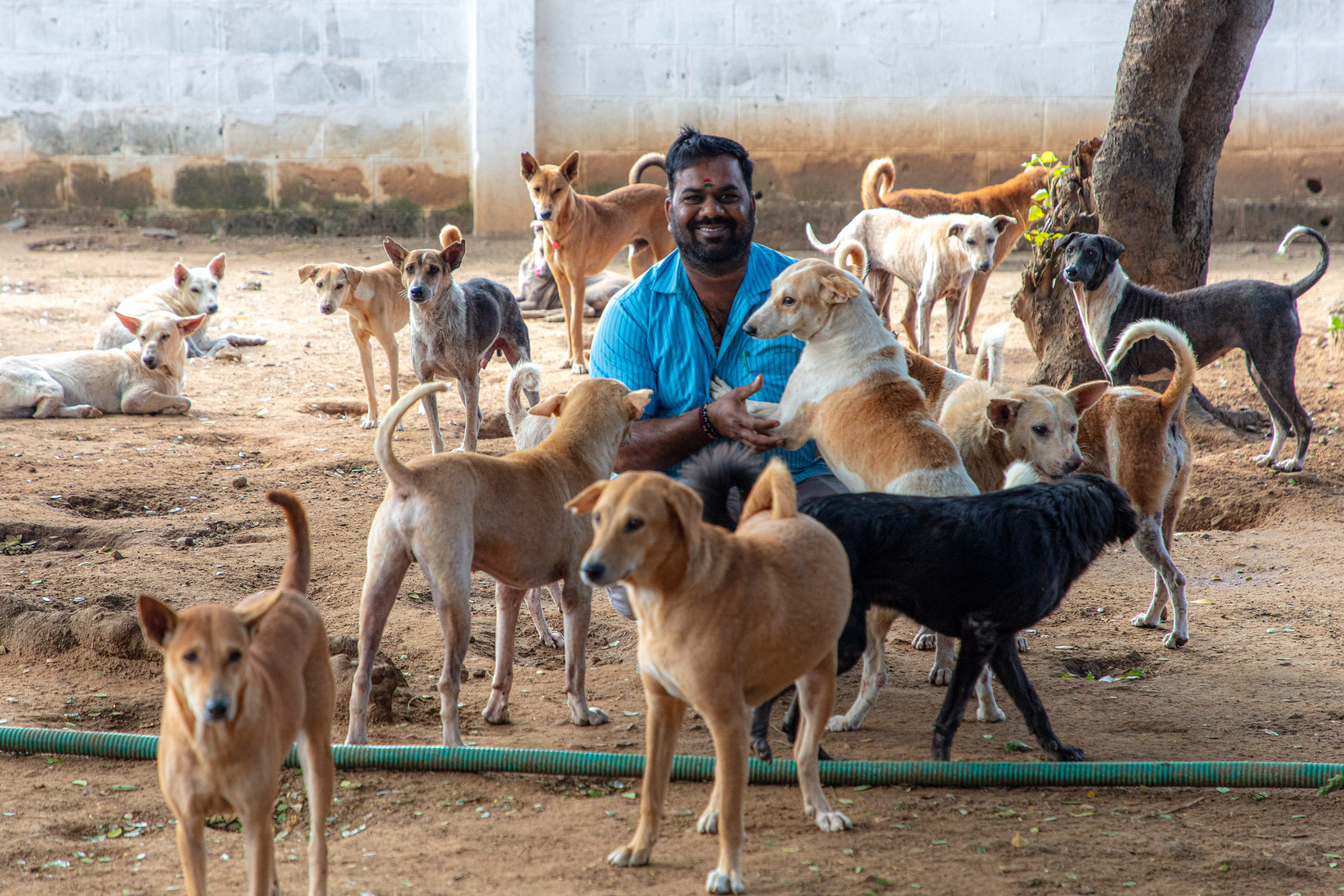 20231228100502 DP010512