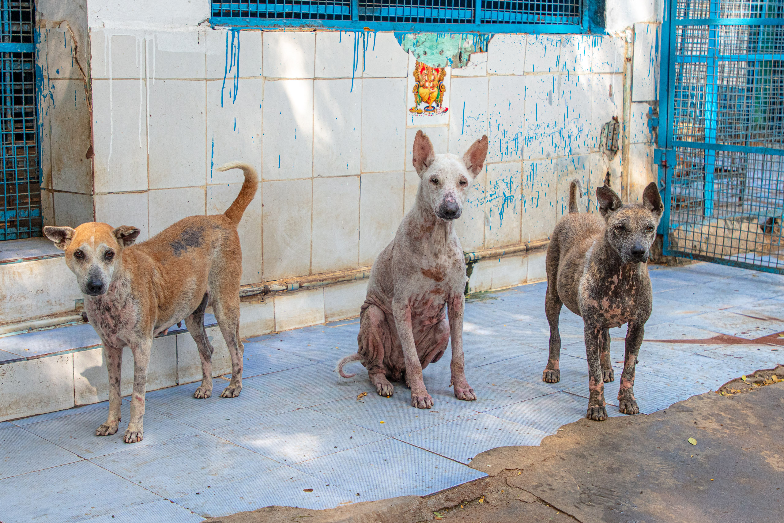 20231228100644 DP010595