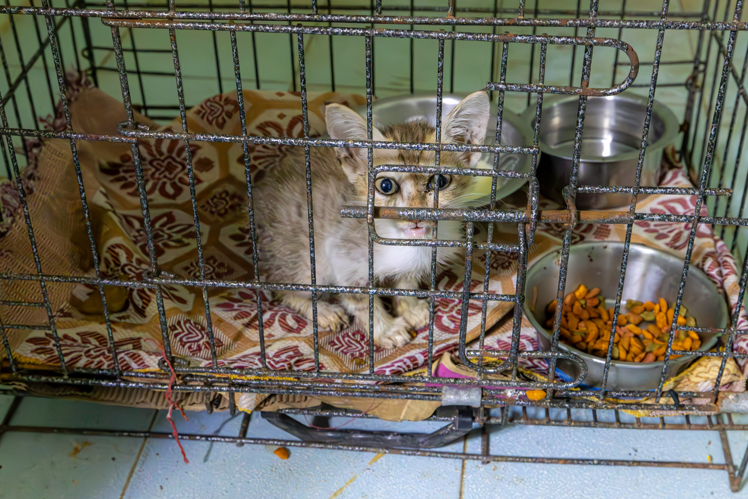 20231228154314 R5D 9414 e