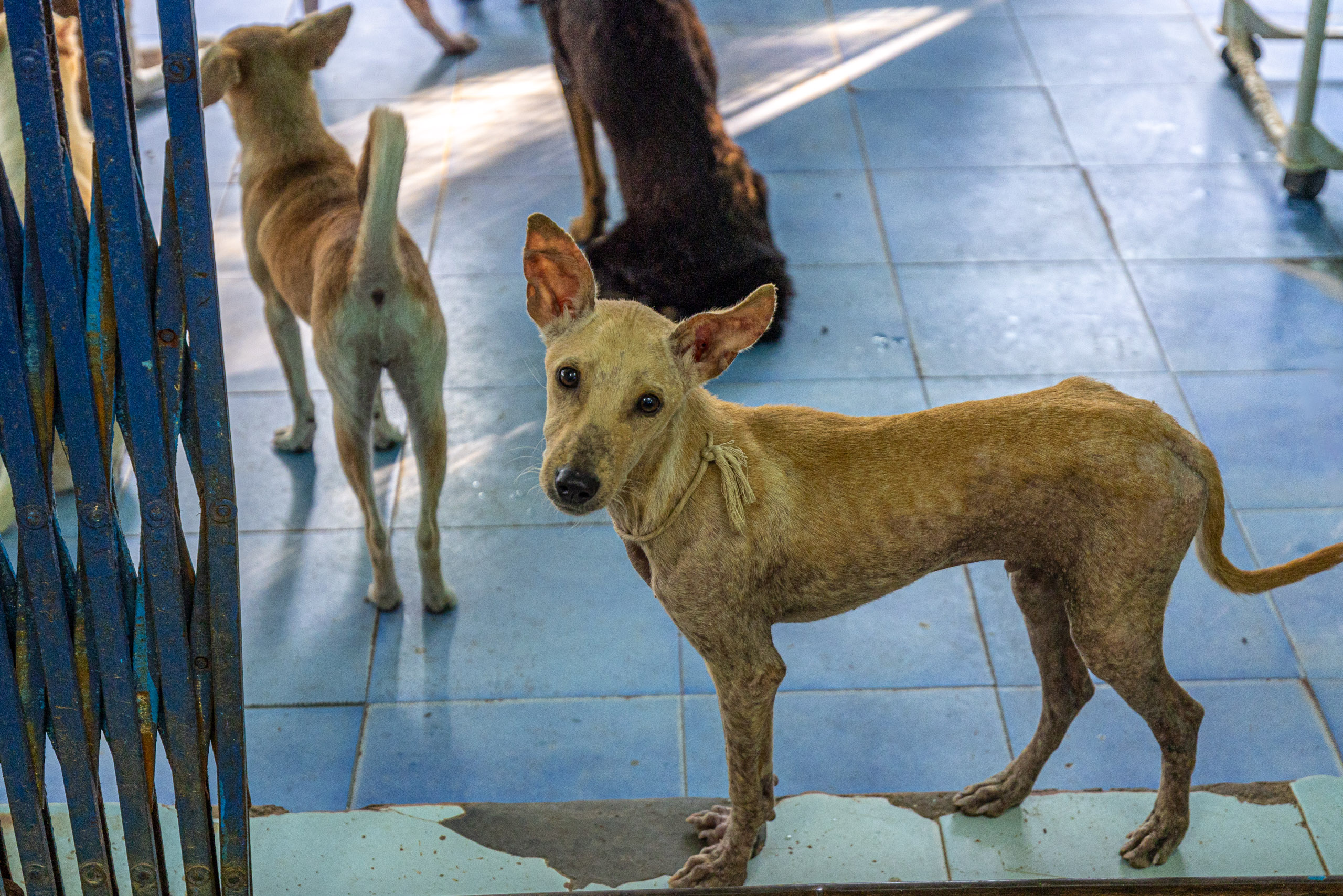 20231228160923 R5D 9530