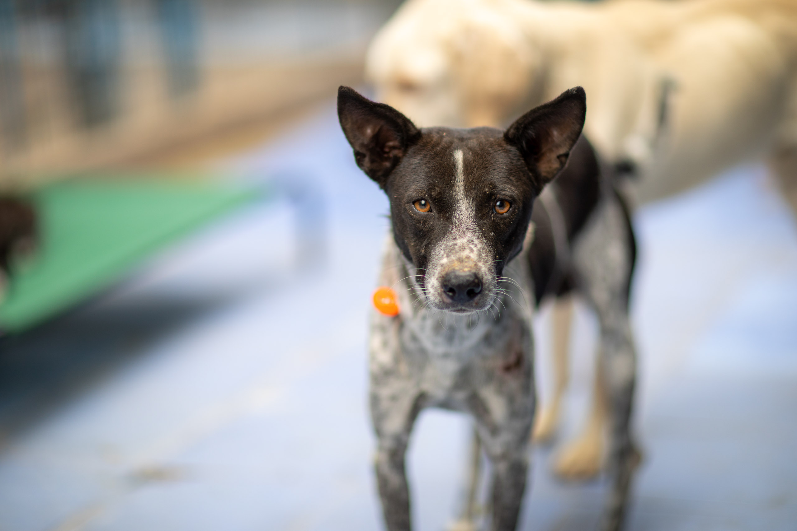 20231231111854 RD4 8022