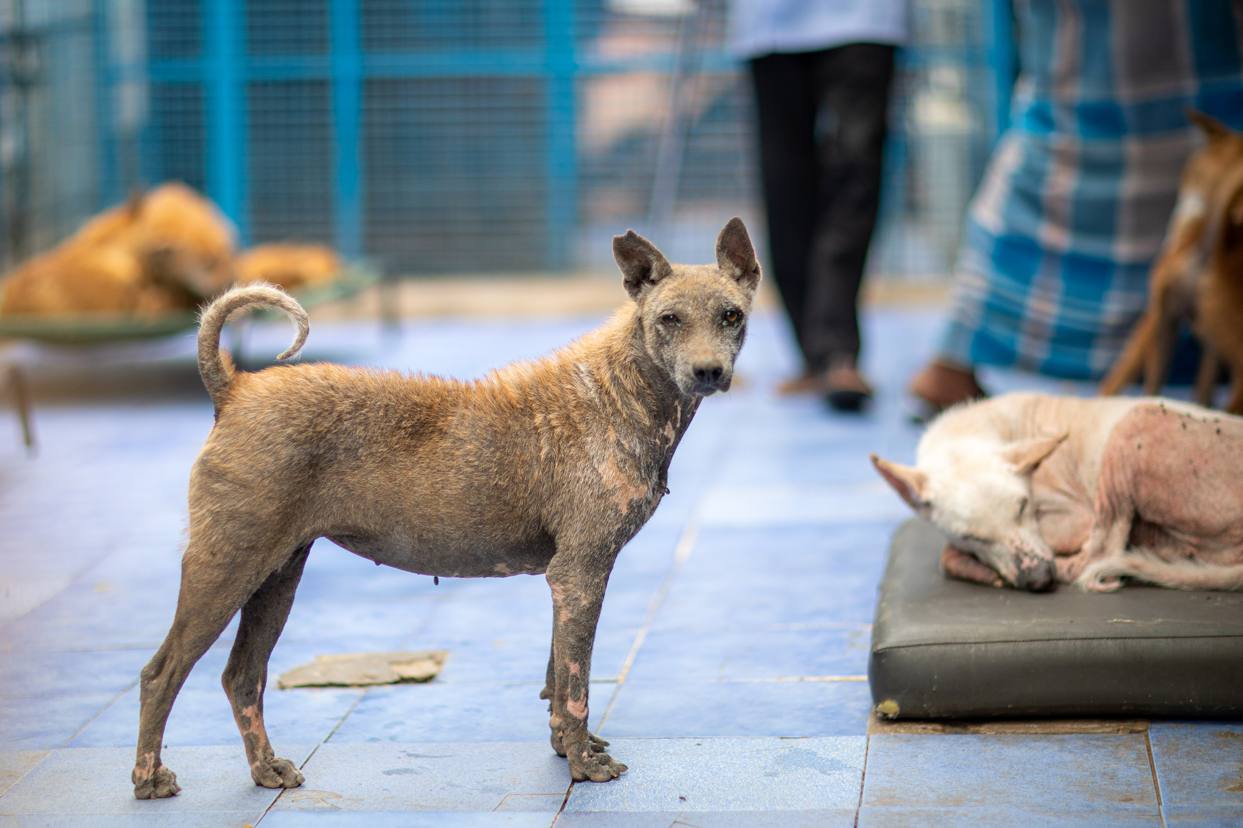 20231231111912 RD4 8034